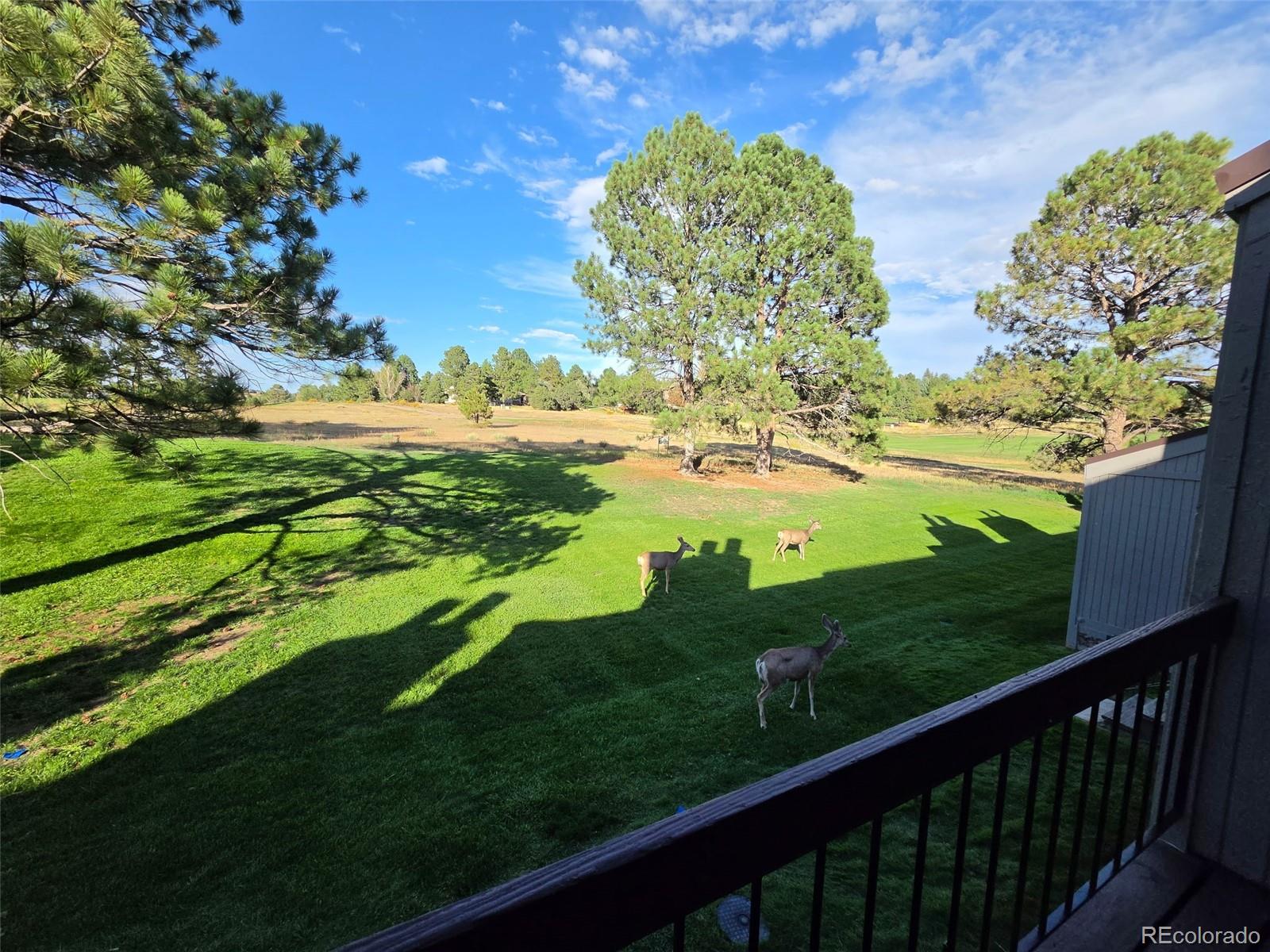 MLS Image #45 for 6480  pinewood drive,parker, Colorado