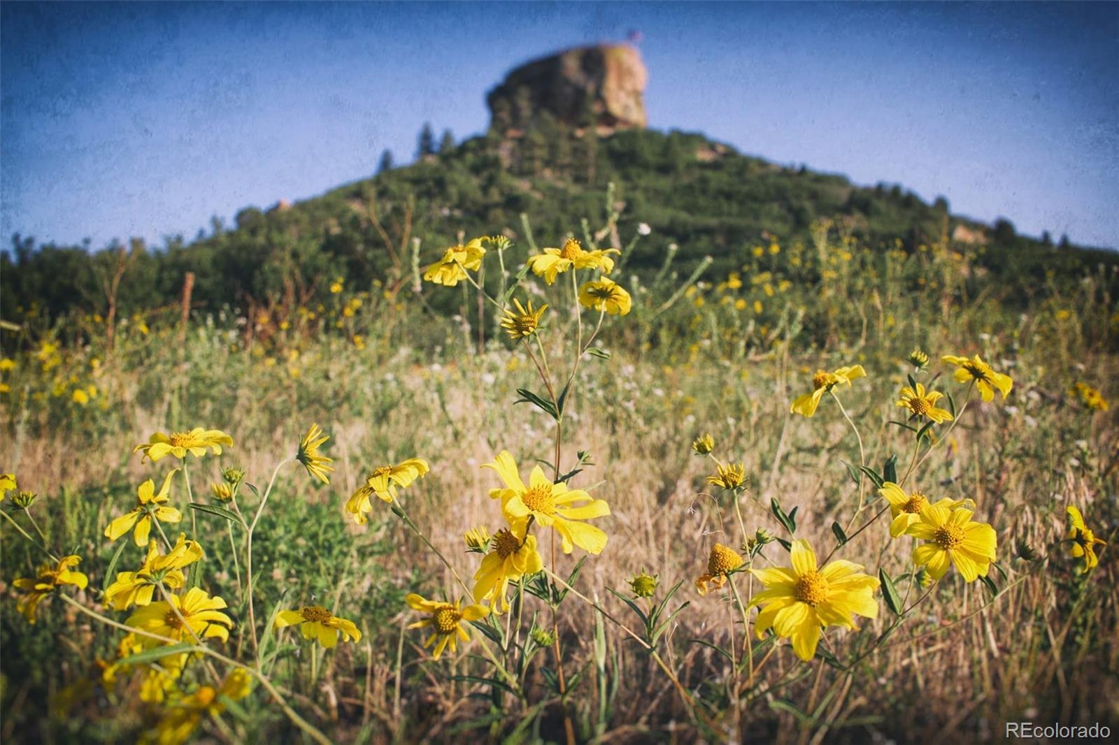 MLS Image #42 for 1486  red peak drive,castle rock, Colorado