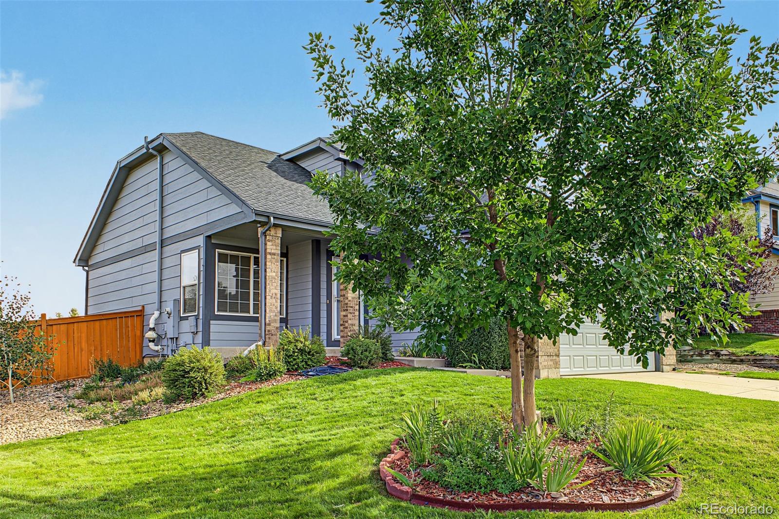 MLS Image #5 for 607  balsa drive,castle rock, Colorado