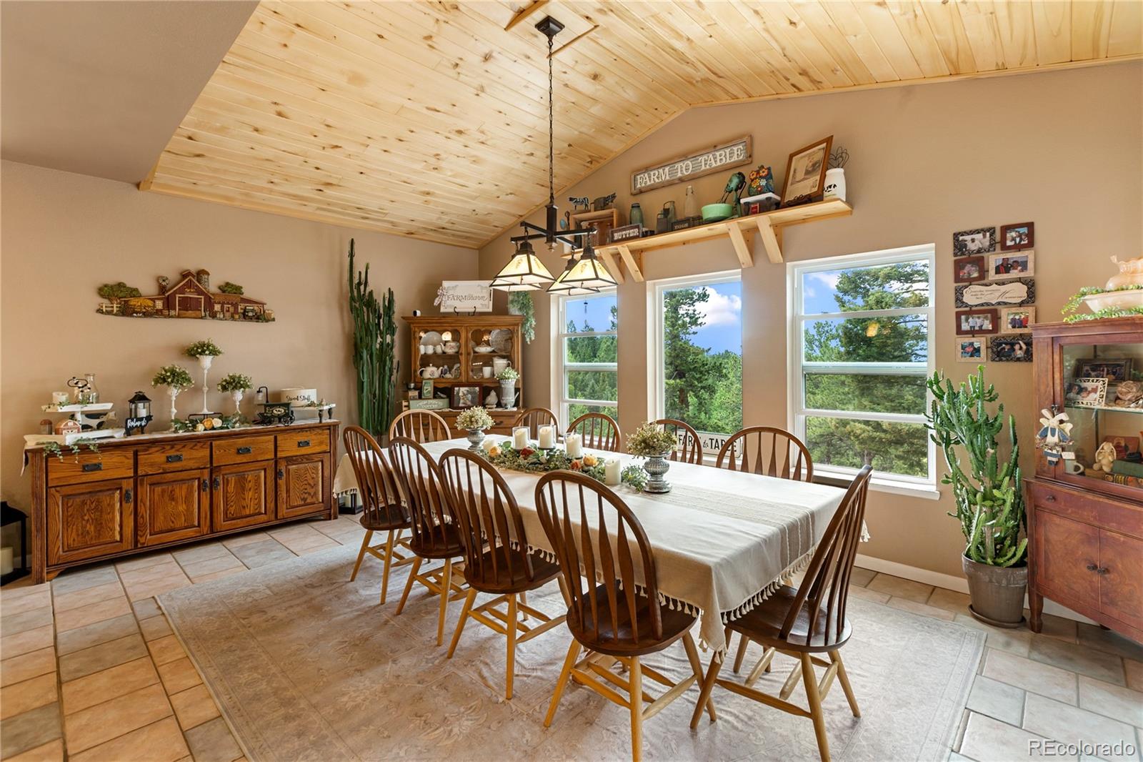 MLS Image #16 for 185  bear lake circle,divide, Colorado