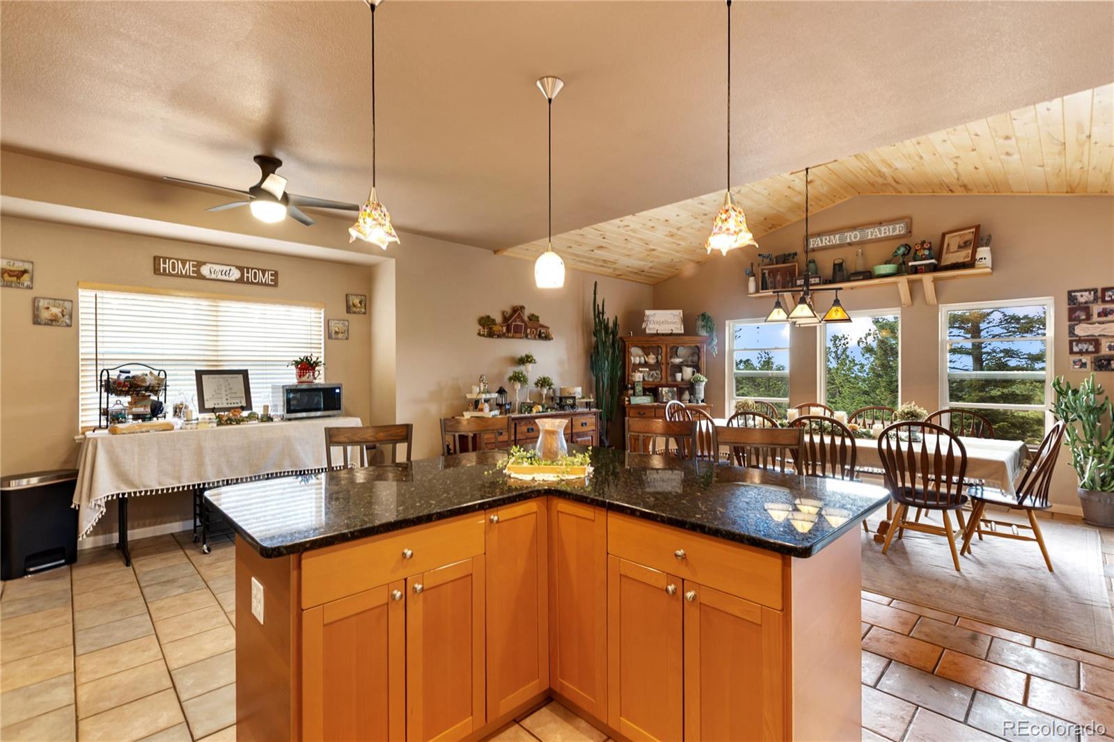 MLS Image #20 for 185  bear lake circle,divide, Colorado