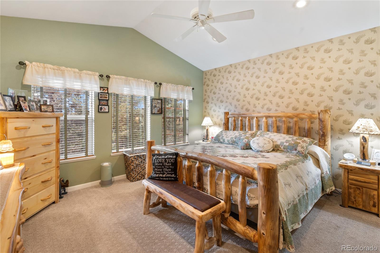 MLS Image #23 for 185  bear lake circle,divide, Colorado
