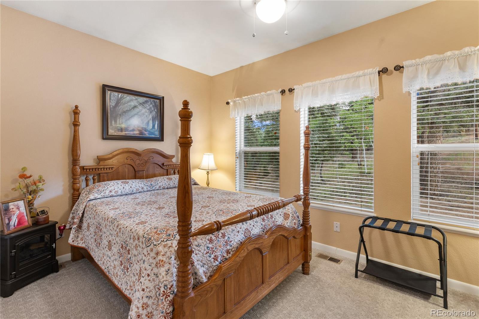 MLS Image #28 for 185  bear lake circle,divide, Colorado