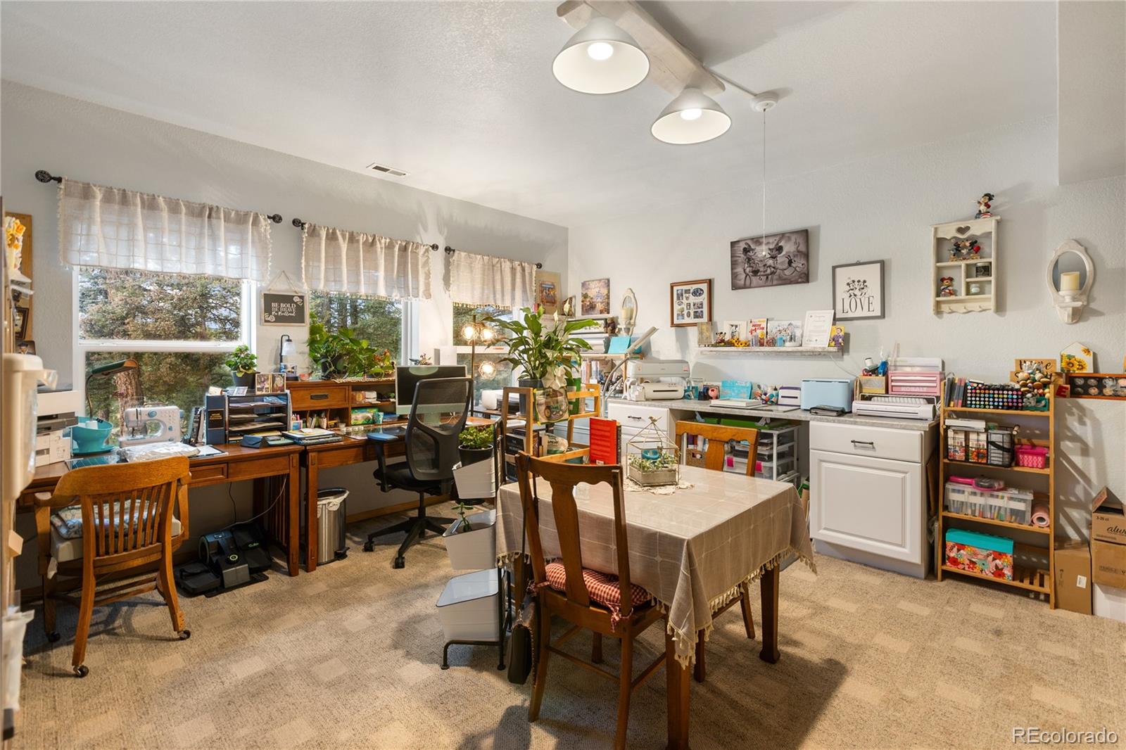 MLS Image #31 for 185  bear lake circle,divide, Colorado