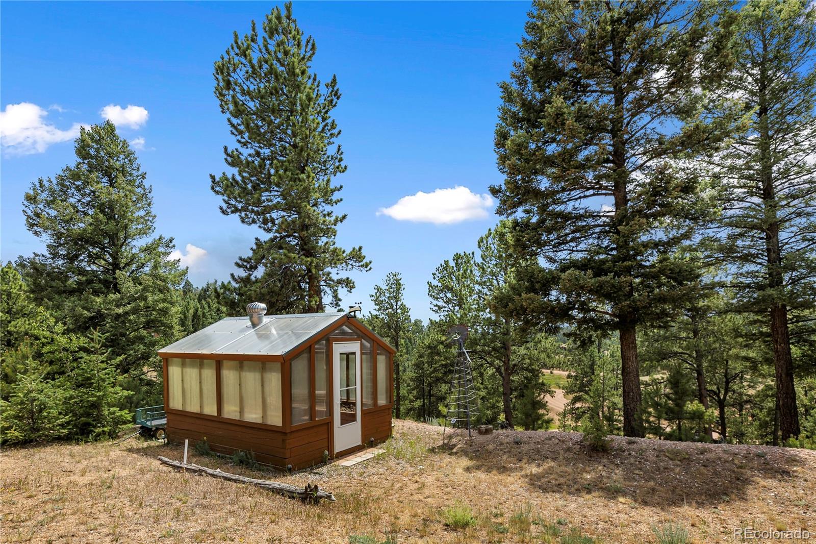 MLS Image #40 for 185  bear lake circle,divide, Colorado