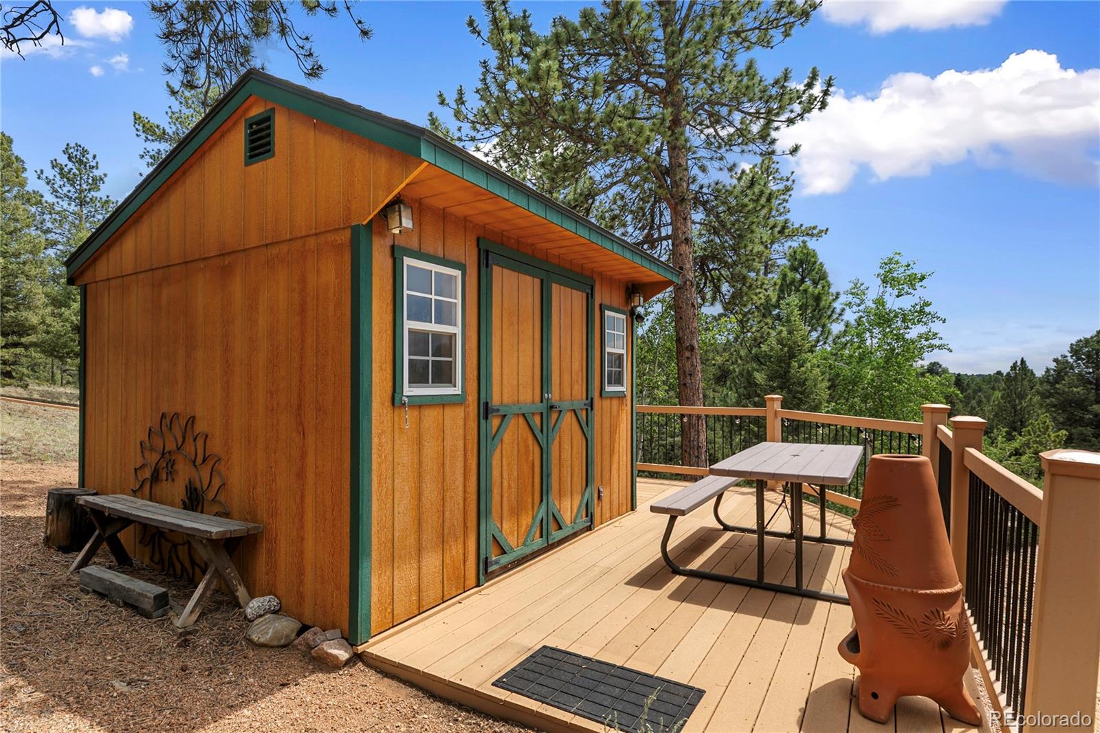 MLS Image #7 for 185  bear lake circle,divide, Colorado