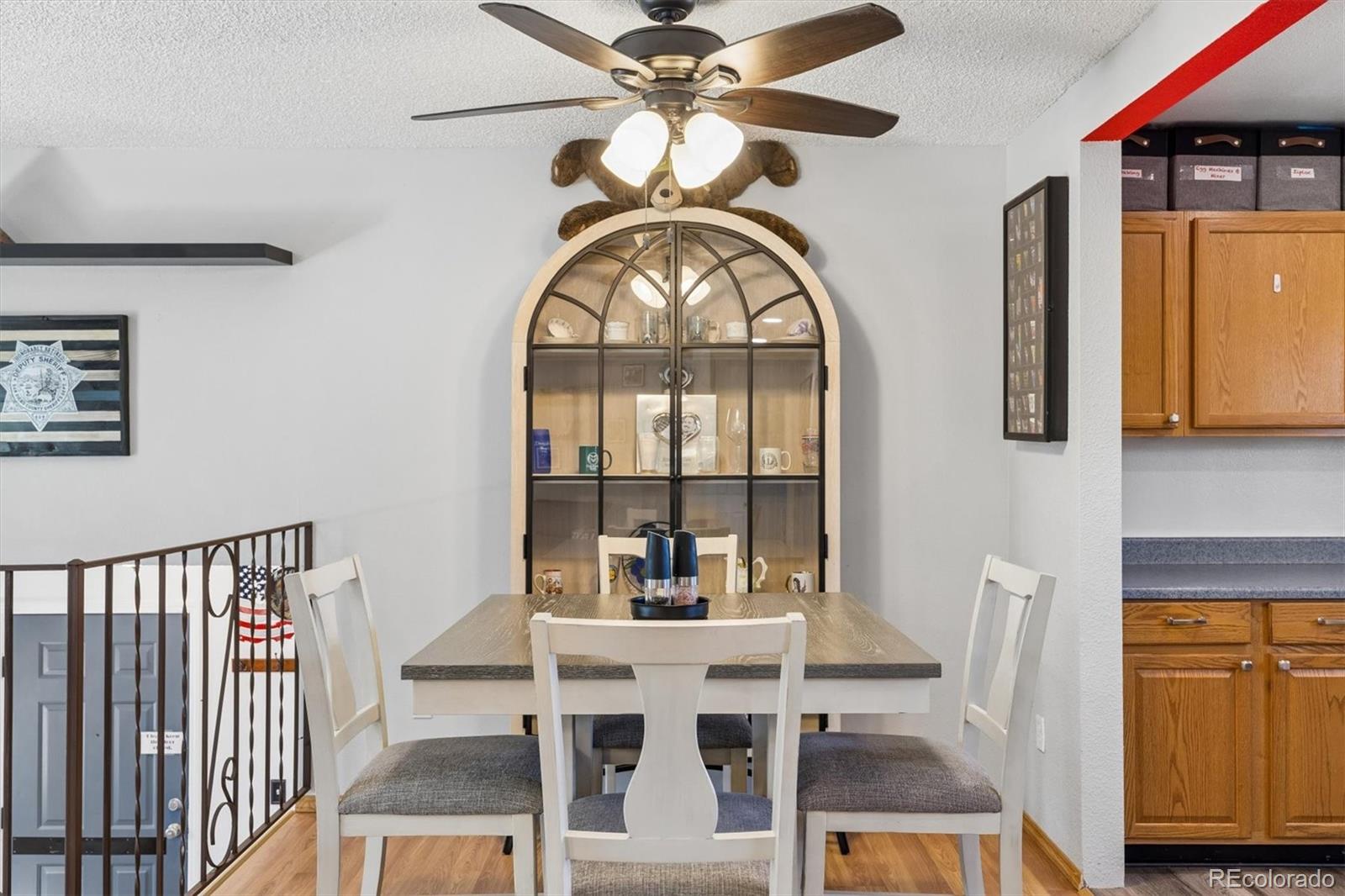 MLS Image #9 for 4378 s braun way,morrison, Colorado