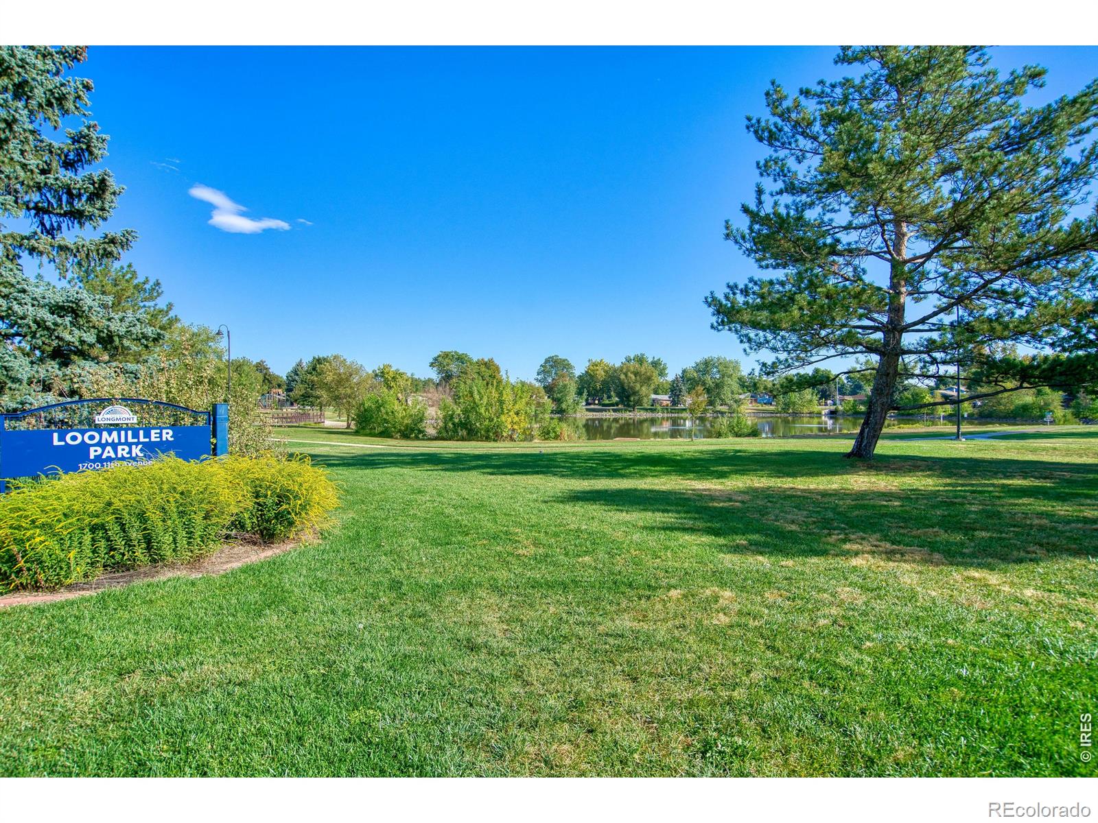 MLS Image #43 for 1020  rose street,longmont, Colorado