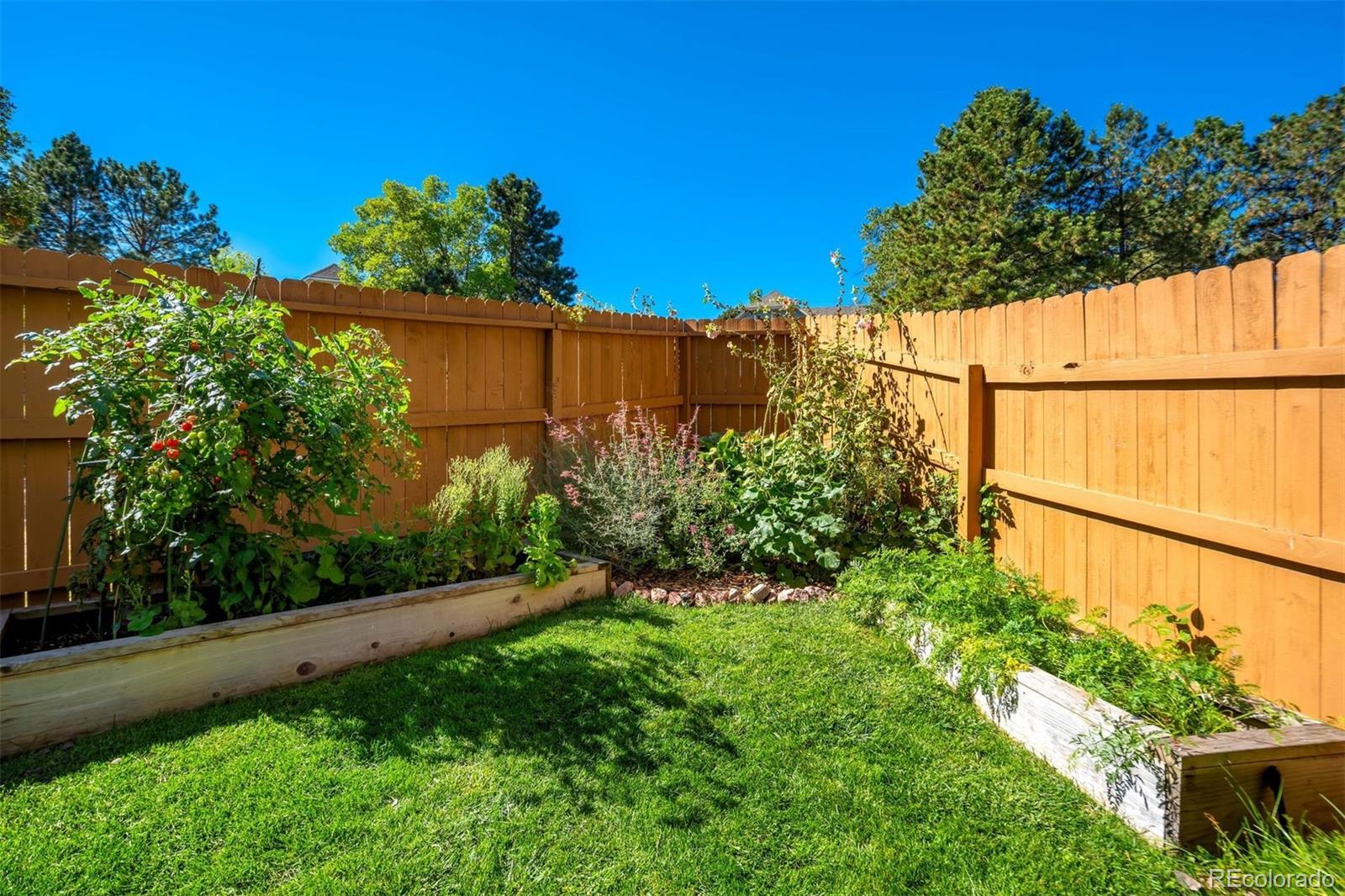 MLS Image #47 for 1132  war eagle court,colorado springs, Colorado