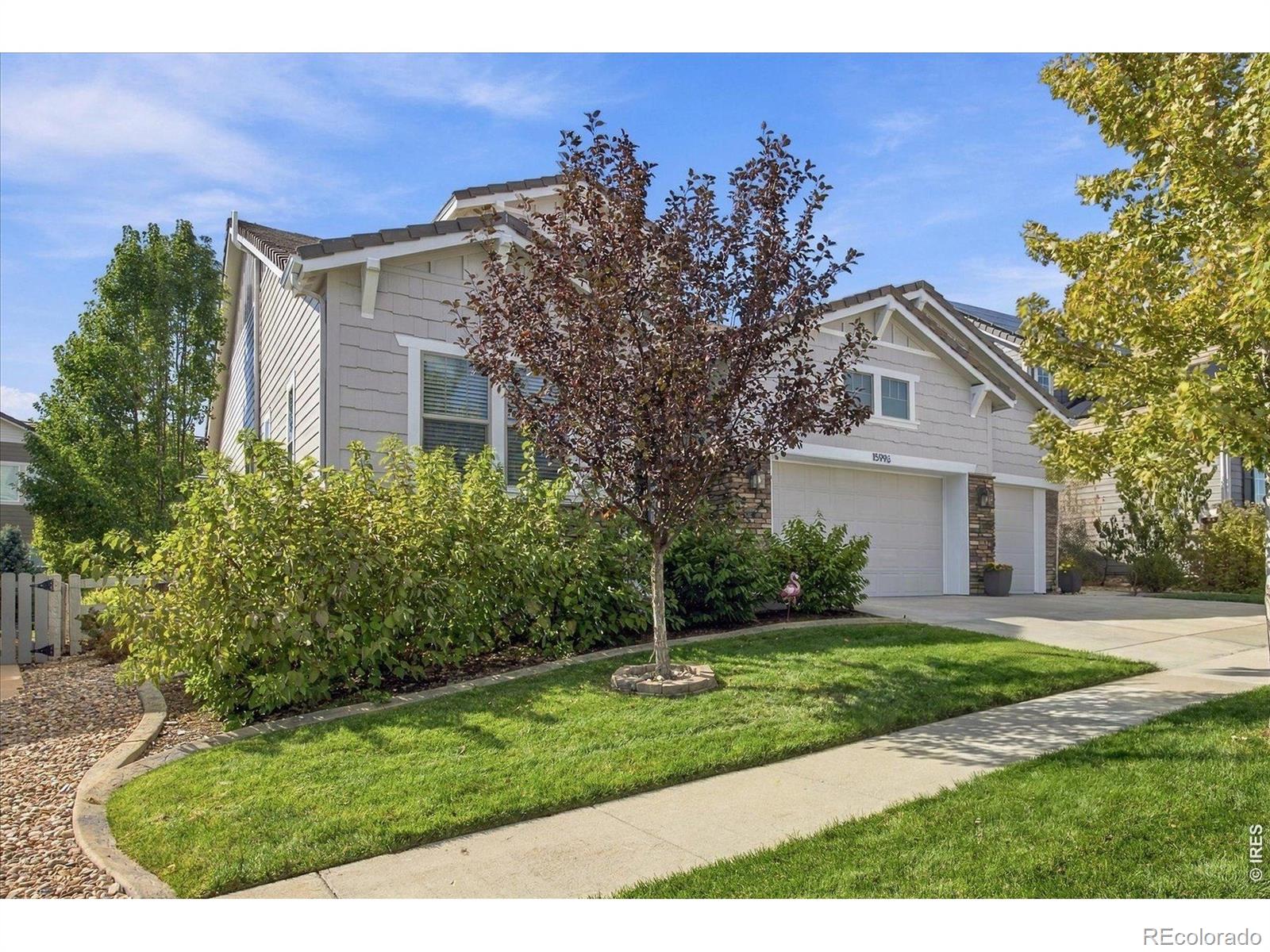 MLS Image #33 for 15993  swan mountain drive,broomfield, Colorado