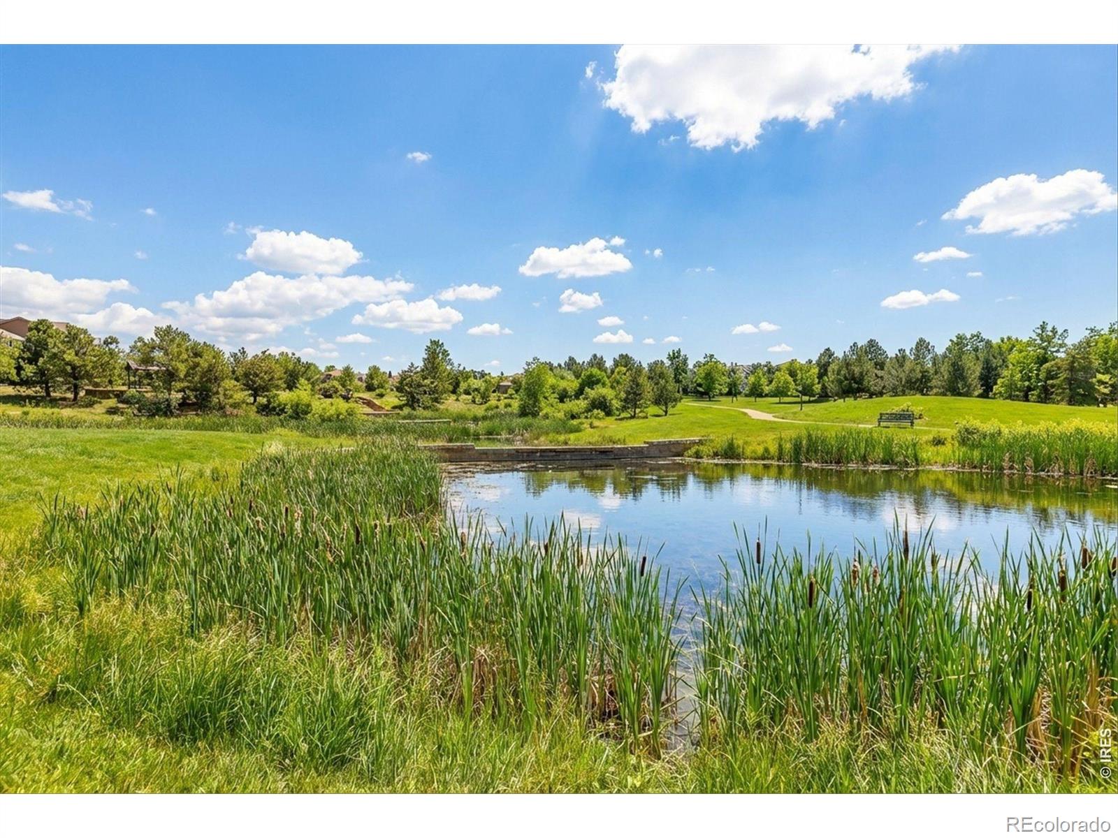 MLS Image #42 for 15993  swan mountain drive,broomfield, Colorado