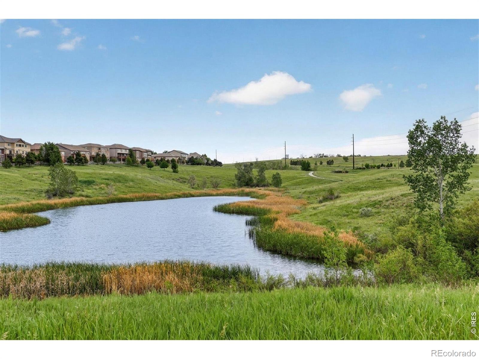 MLS Image #44 for 15993  swan mountain drive,broomfield, Colorado