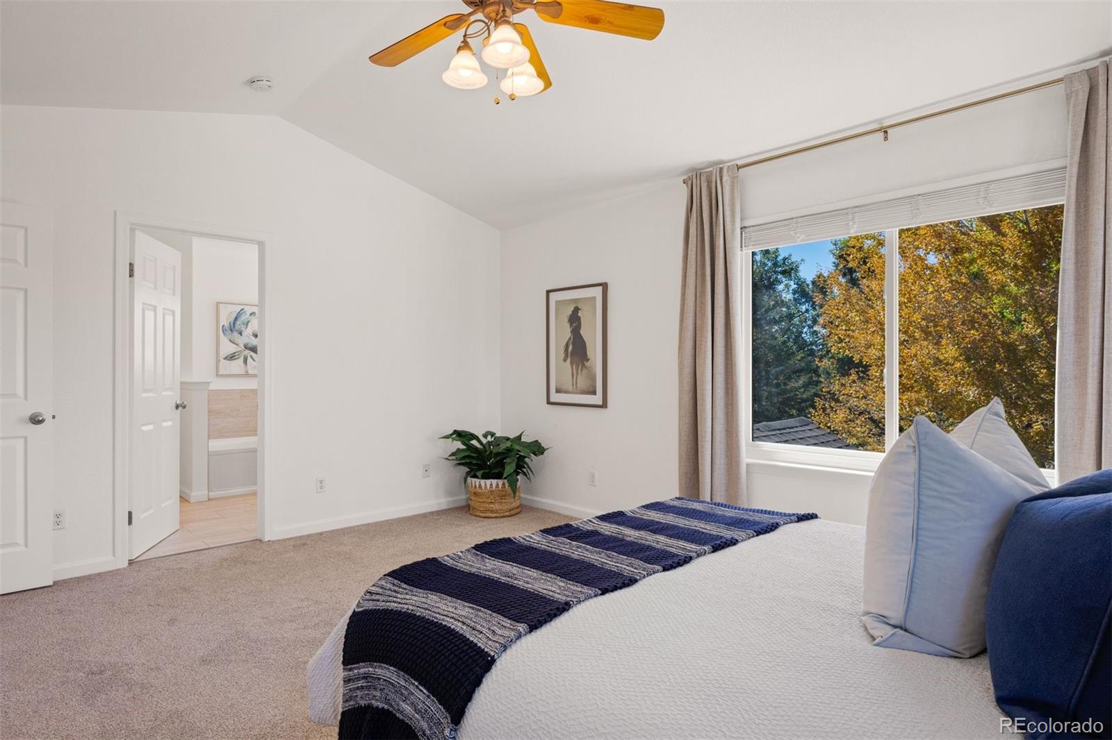 MLS Image #10 for 6442  silver mesa drive d,highlands ranch, Colorado