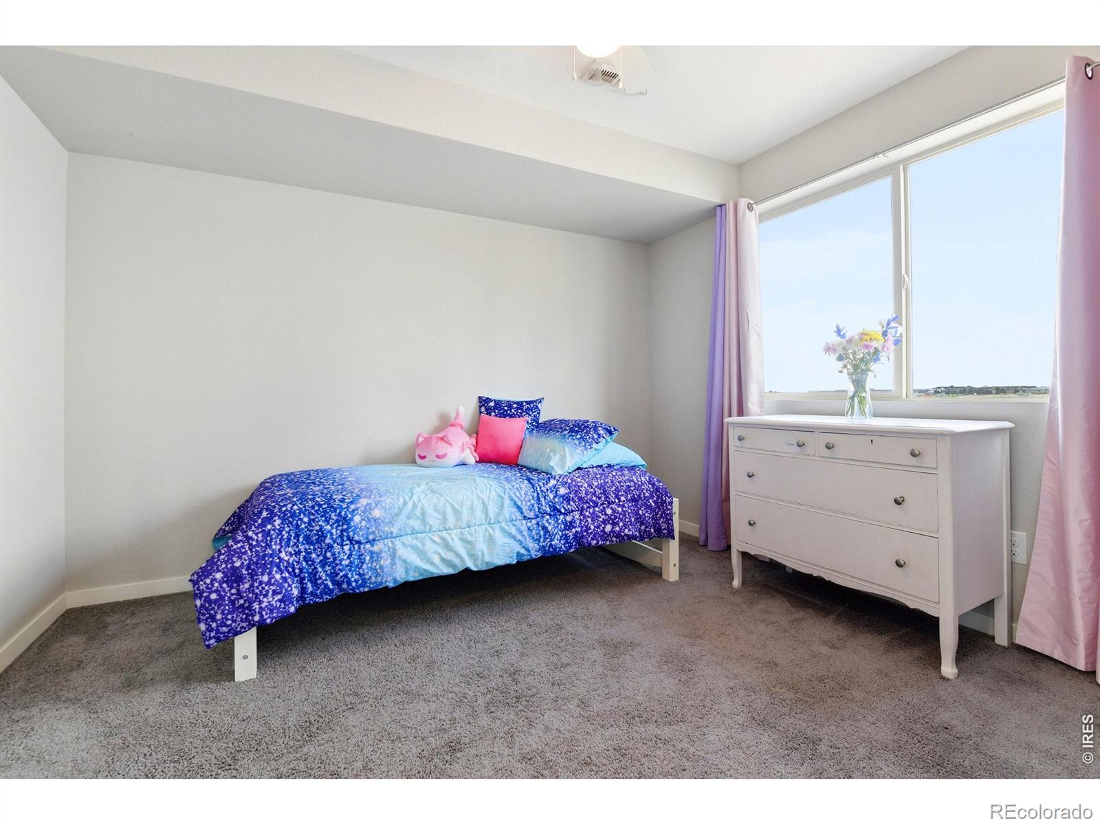 MLS Image #23 for 17975 e 54th avenue,denver, Colorado