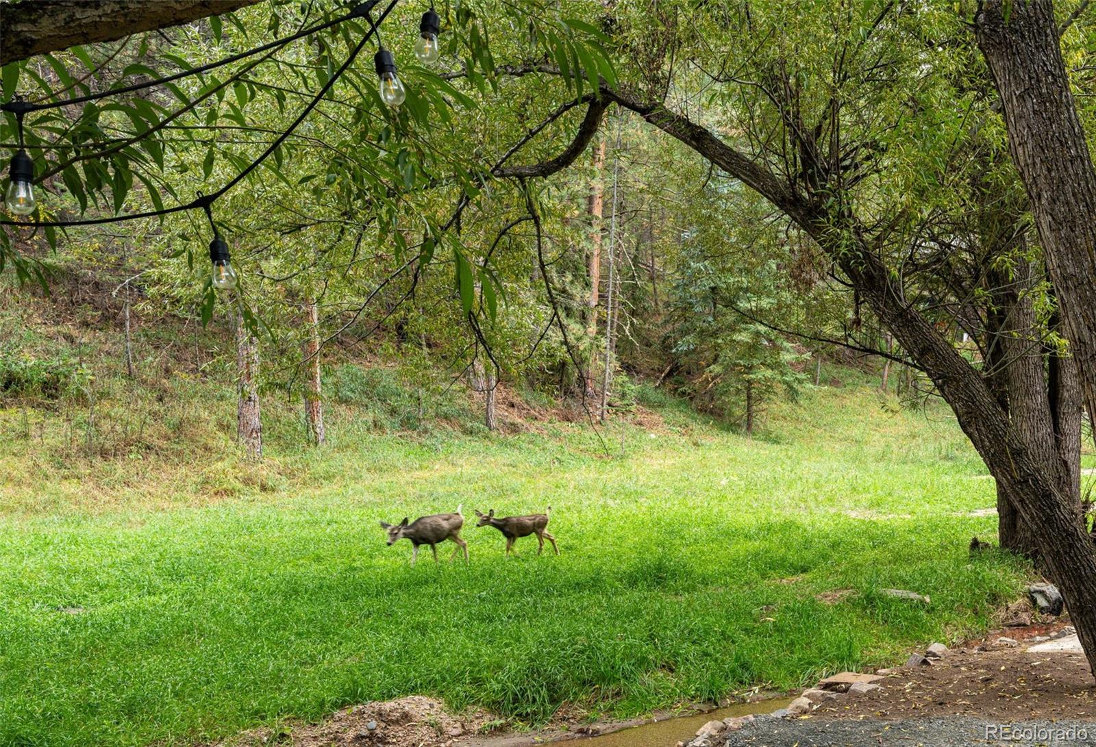 MLS Image #44 for 27456  troublesome gulch road,evergreen, Colorado