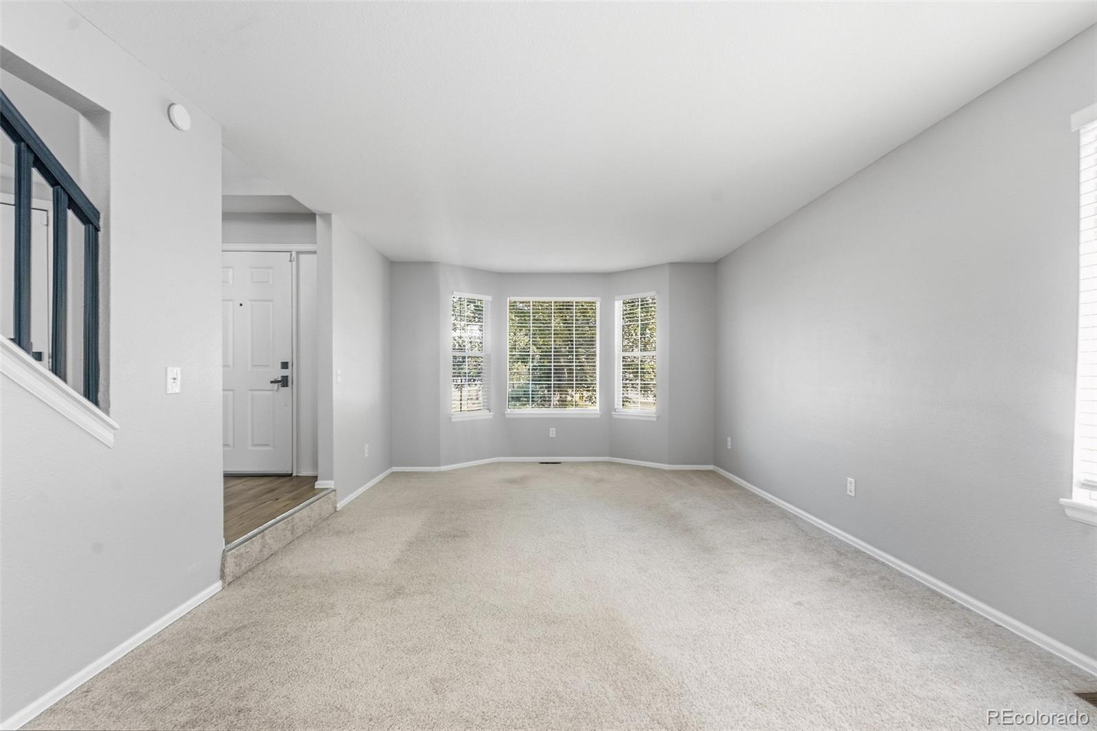 MLS Image #11 for 17032 e wiley place,parker, Colorado