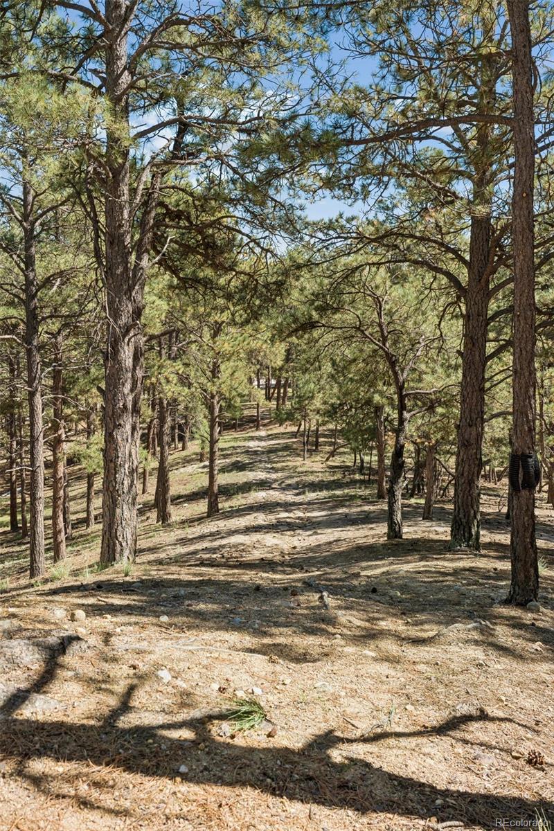 MLS Image #36 for 17170  lodgepole road,peyton, Colorado