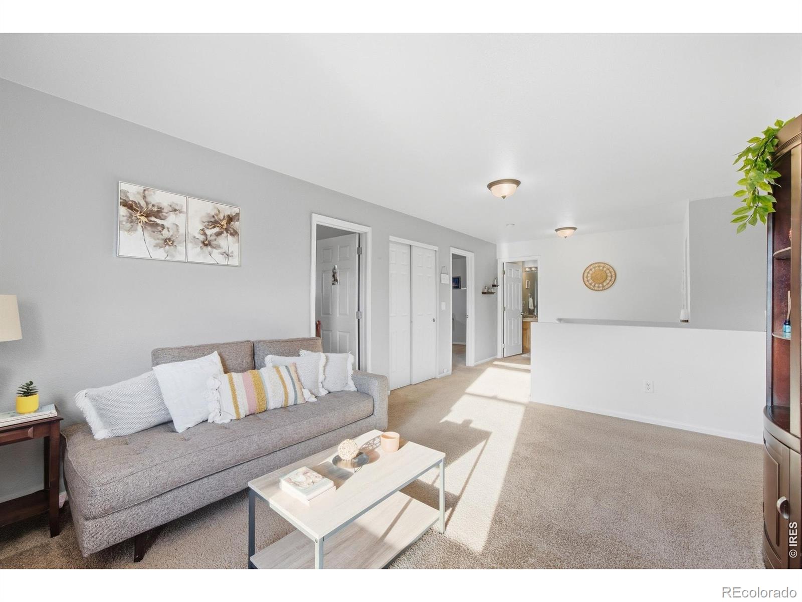 MLS Image #21 for 13841  wrangler way,mead, Colorado