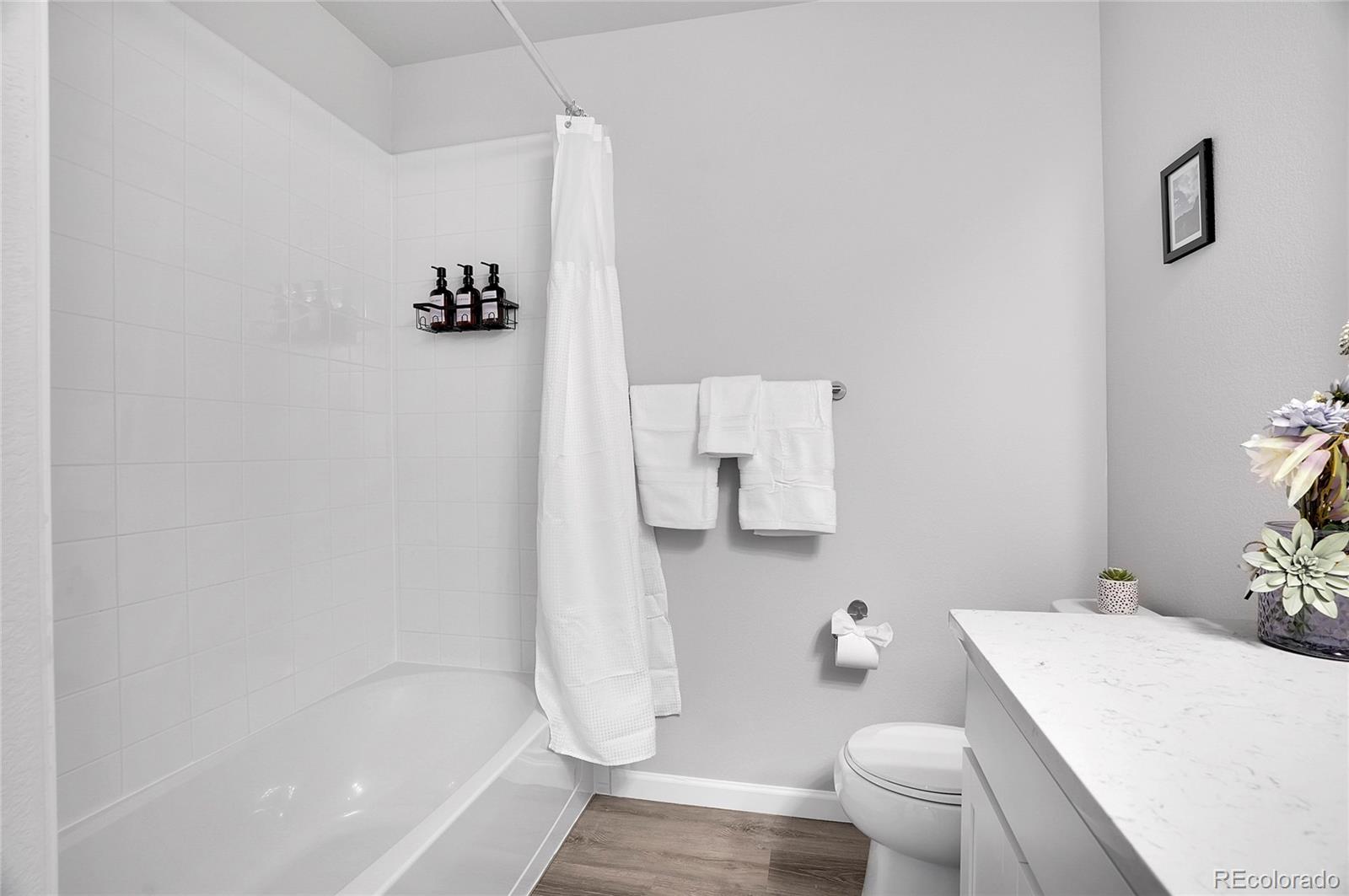 MLS Image #21 for 5901  sunrise place,mead, Colorado