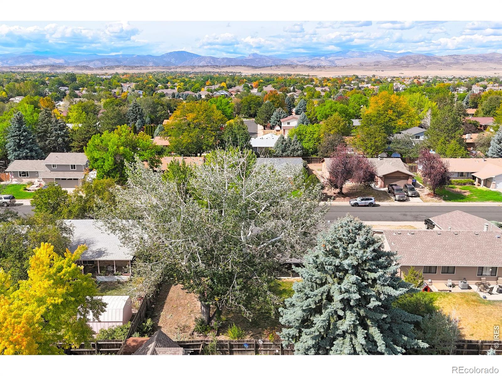 MLS Image #36 for 4844 n sheridan avenue,loveland, Colorado