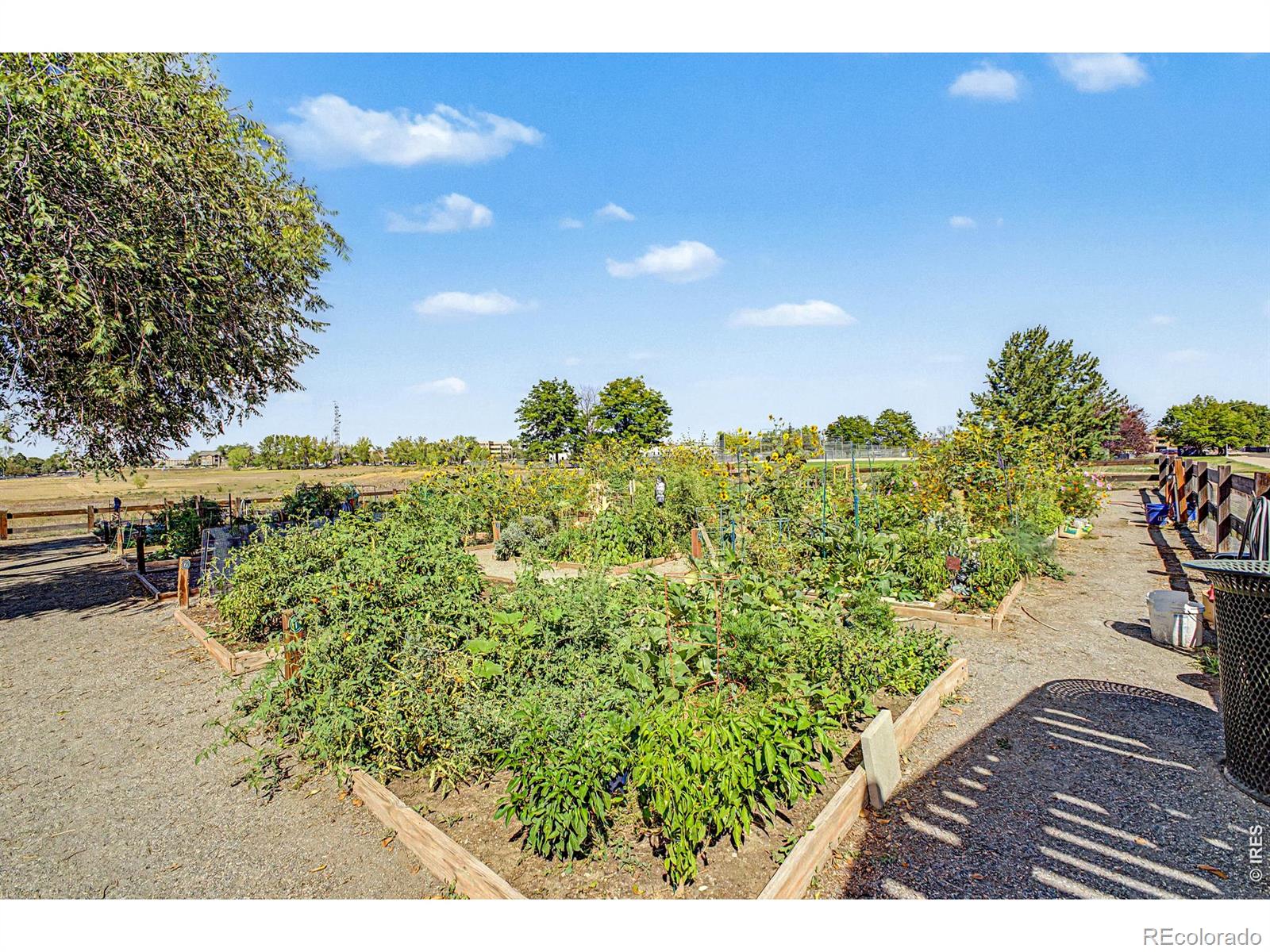MLS Image #32 for 11242  osage circle,northglenn, Colorado