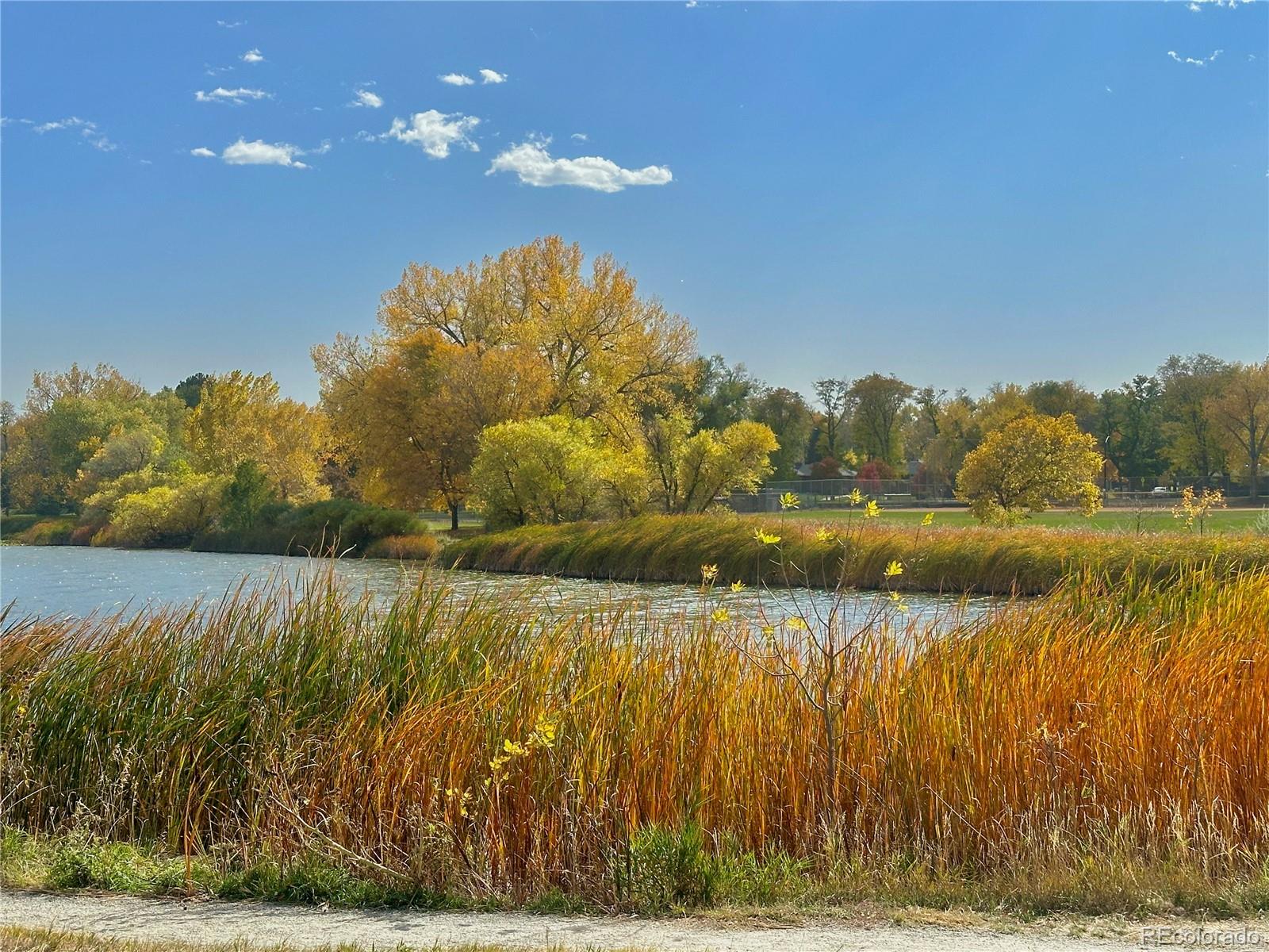MLS Image #27 for 3141 w denver place,denver, Colorado