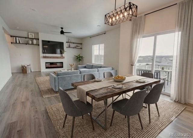 MLS Image #15 for 5260  lumos lane,castle rock, Colorado