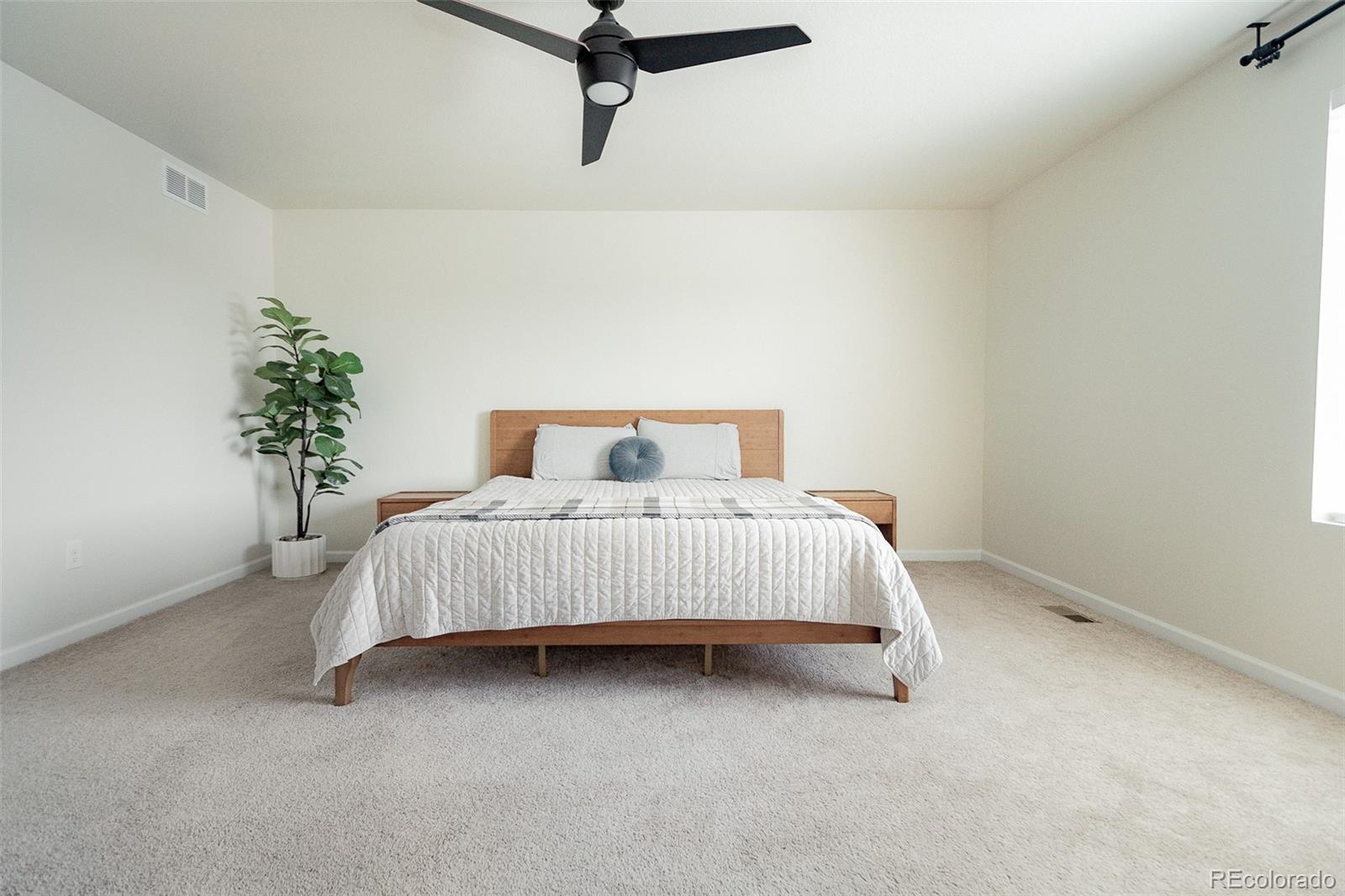 MLS Image #25 for 5260  lumos lane,castle rock, Colorado