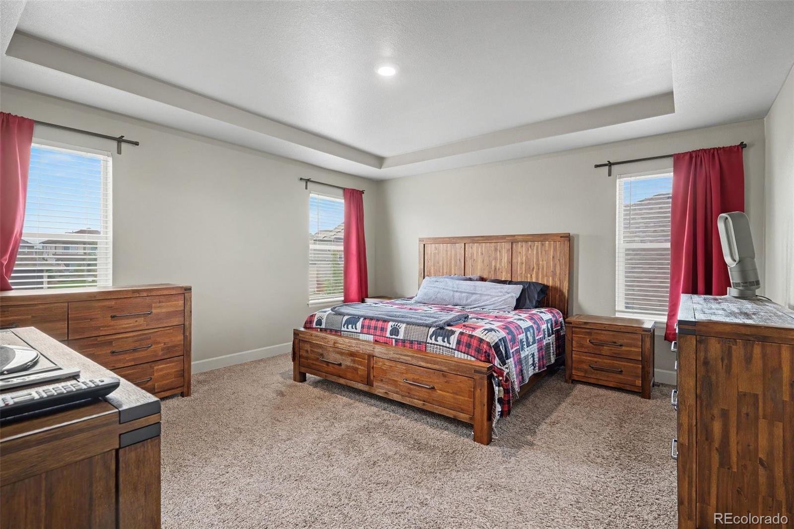 MLS Image #12 for 503  fall river court,brighton, Colorado
