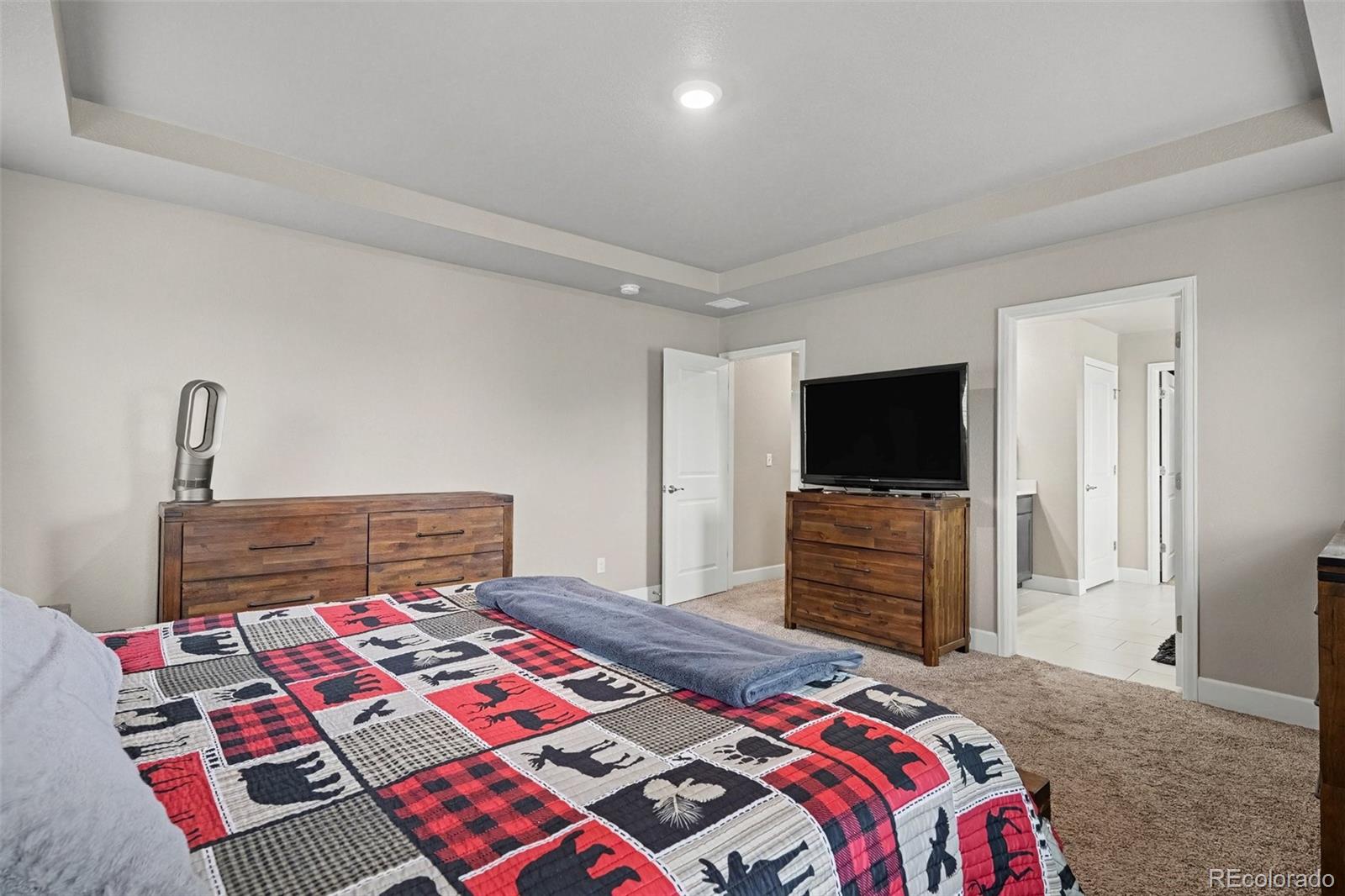 MLS Image #13 for 503  fall river court,brighton, Colorado