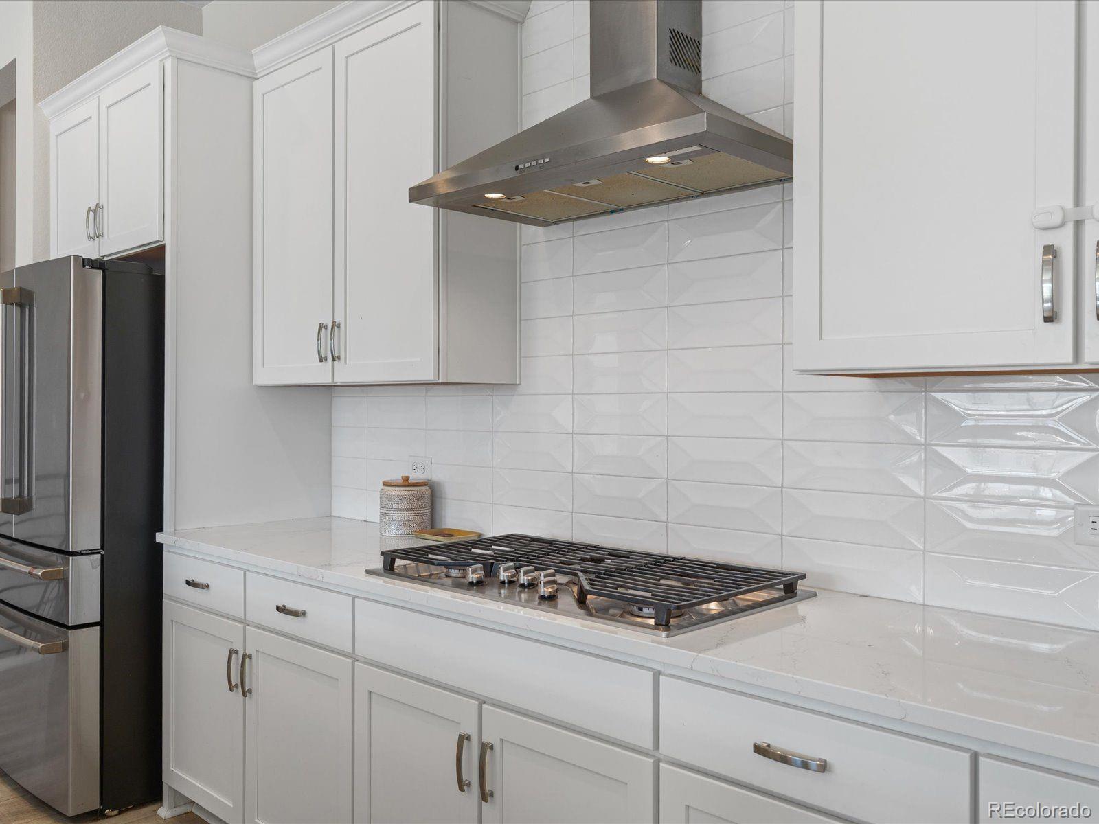 MLS Image #10 for 3610  gold bug street,aurora, Colorado