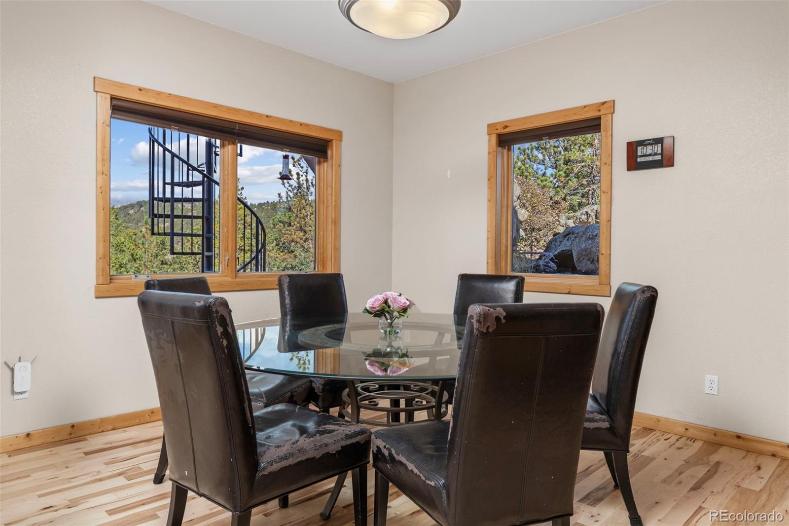 MLS Image #16 for 401  shady hollow,nederland, Colorado