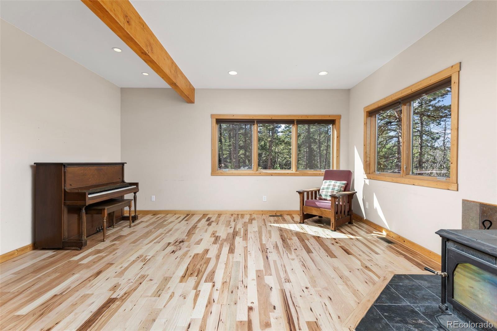 MLS Image #19 for 401  shady hollow,nederland, Colorado