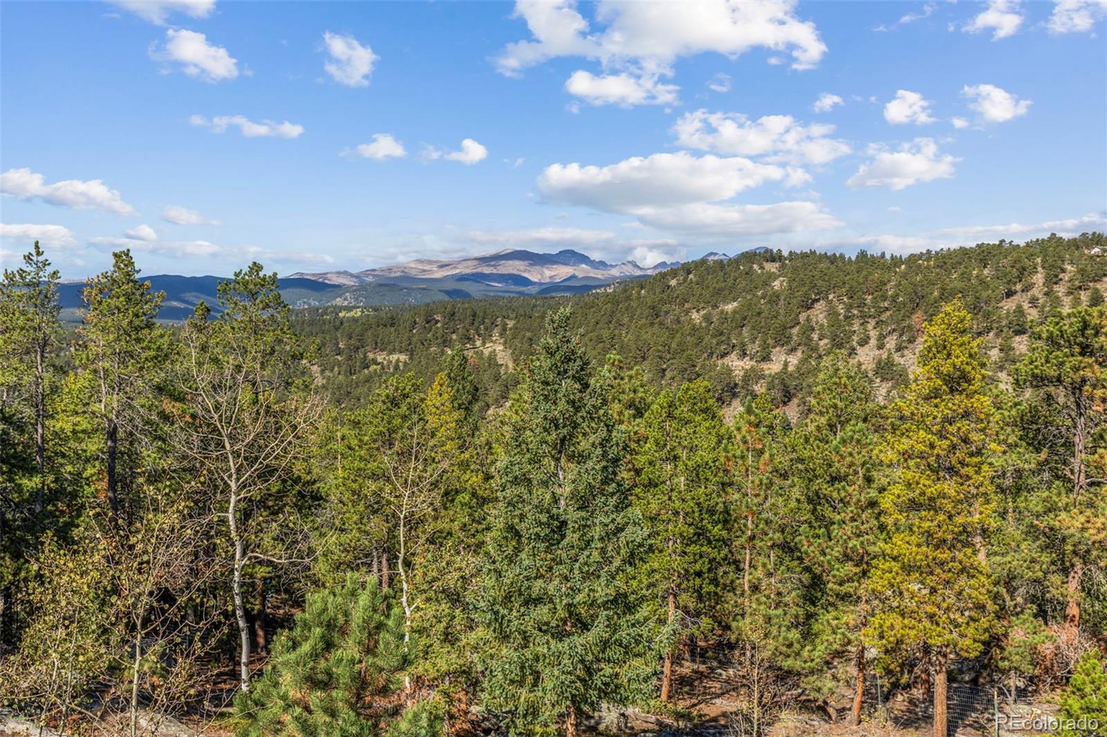 MLS Image #28 for 401  shady hollow,nederland, Colorado