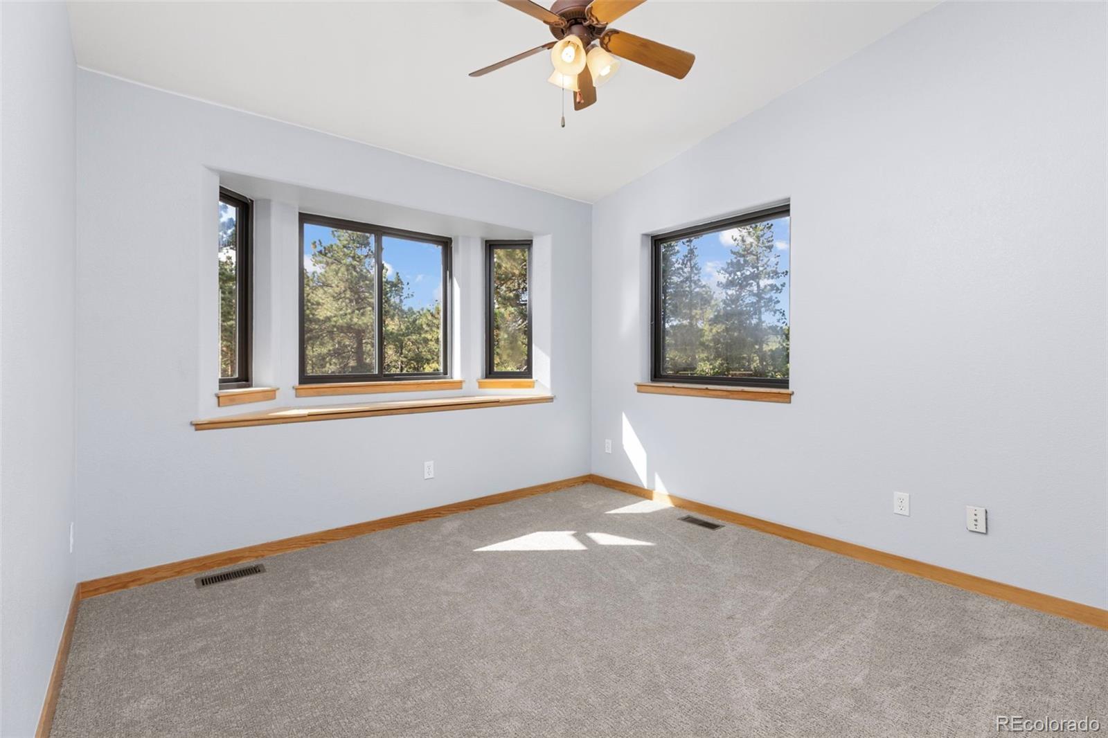 MLS Image #32 for 401  shady hollow,nederland, Colorado