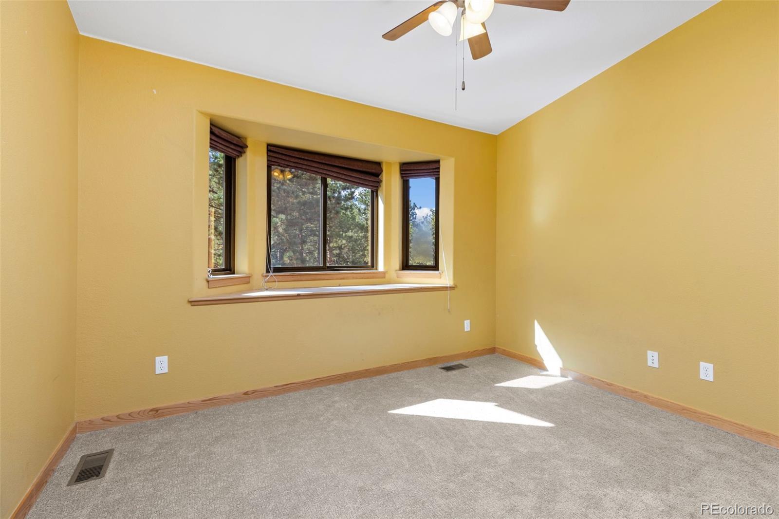 MLS Image #34 for 401  shady hollow,nederland, Colorado