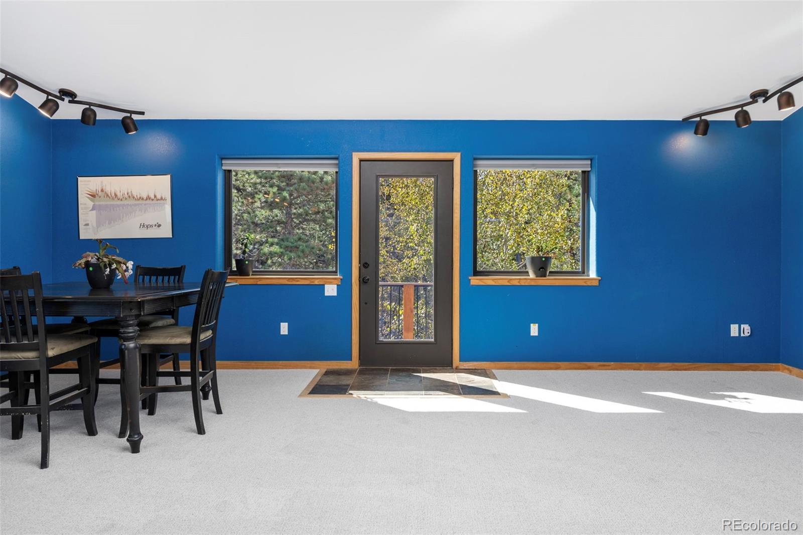 MLS Image #36 for 401  shady hollow,nederland, Colorado