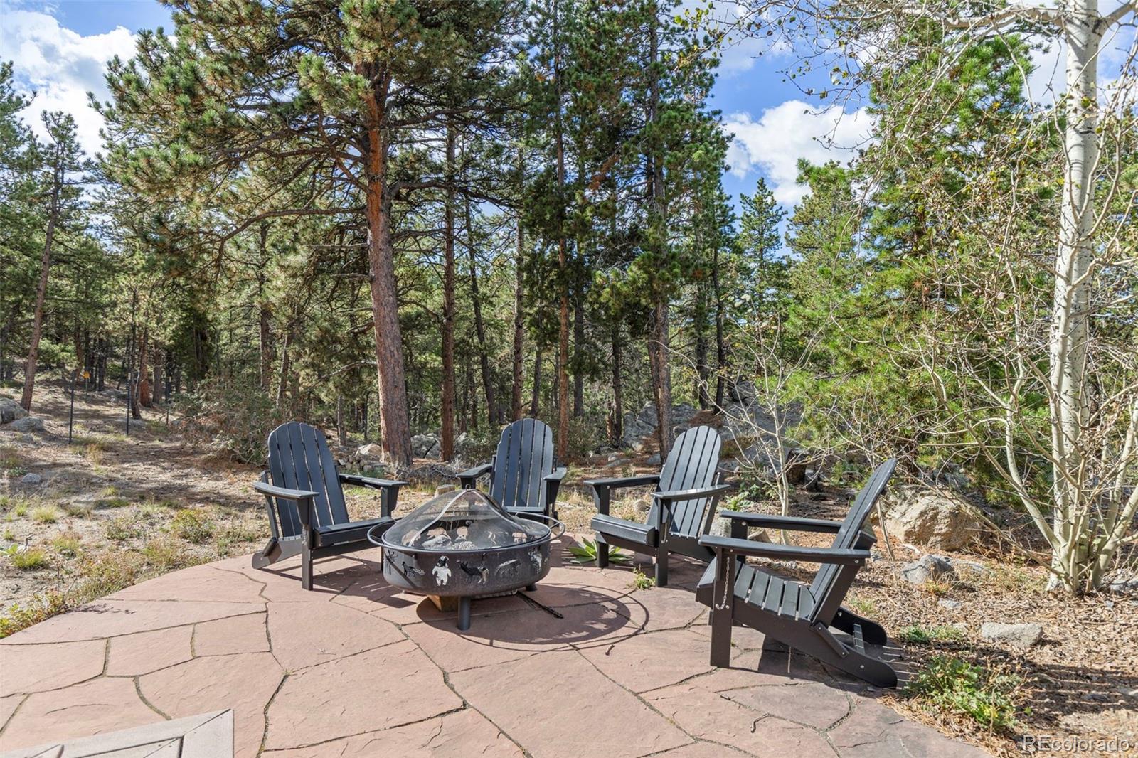 MLS Image #42 for 401  shady hollow,nederland, Colorado