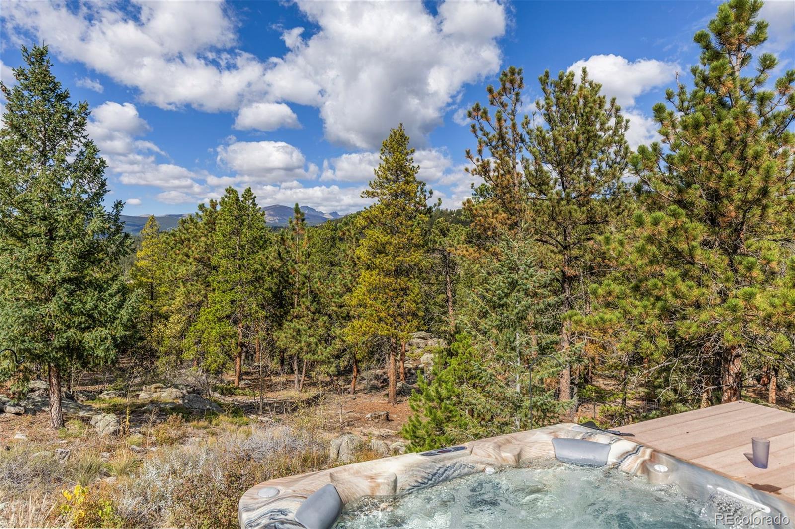 MLS Image #45 for 401  shady hollow,nederland, Colorado