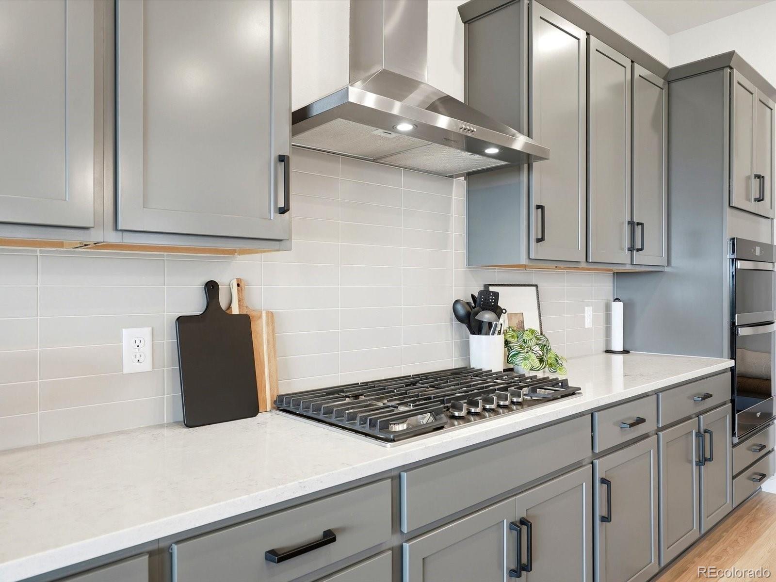 MLS Image #19 for 13690  emerald lake street,parker, Colorado