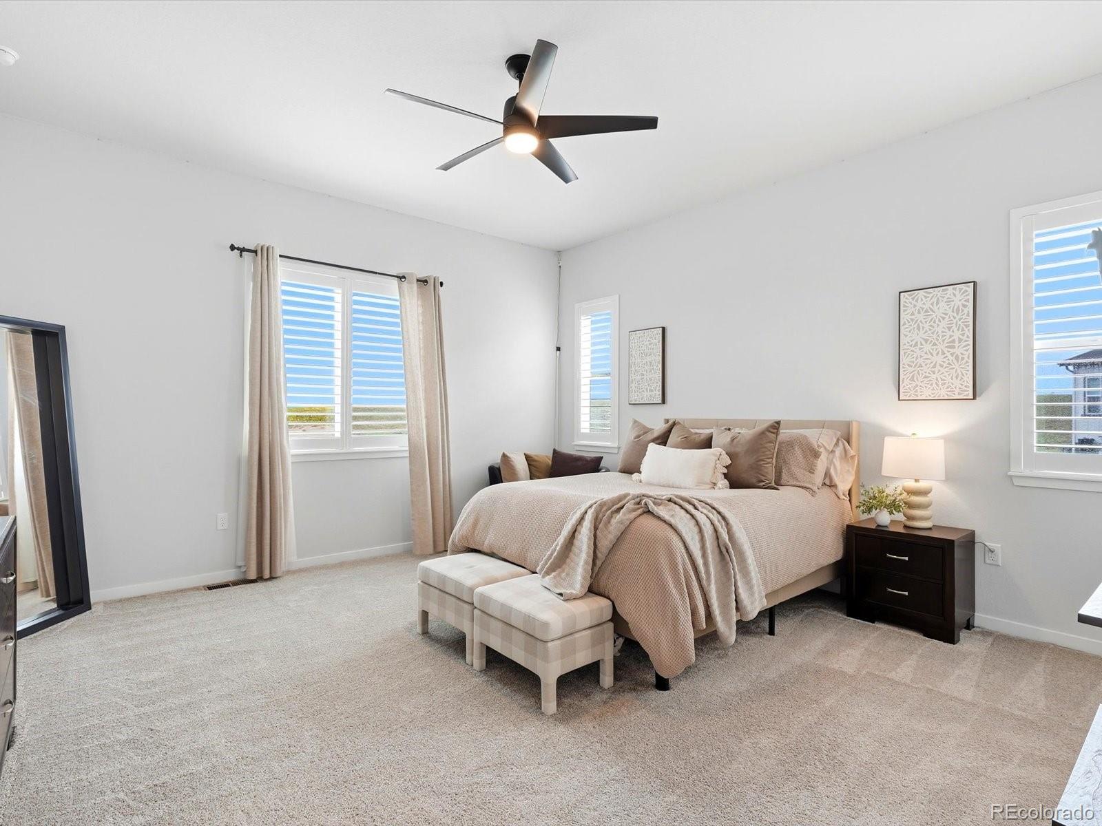 MLS Image #34 for 13690  emerald lake street,parker, Colorado