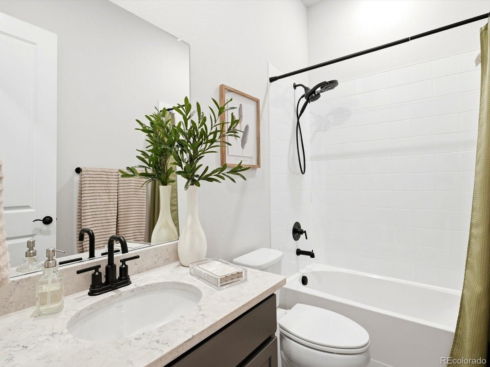 MLS Image #7 for 13690  emerald lake street,parker, Colorado