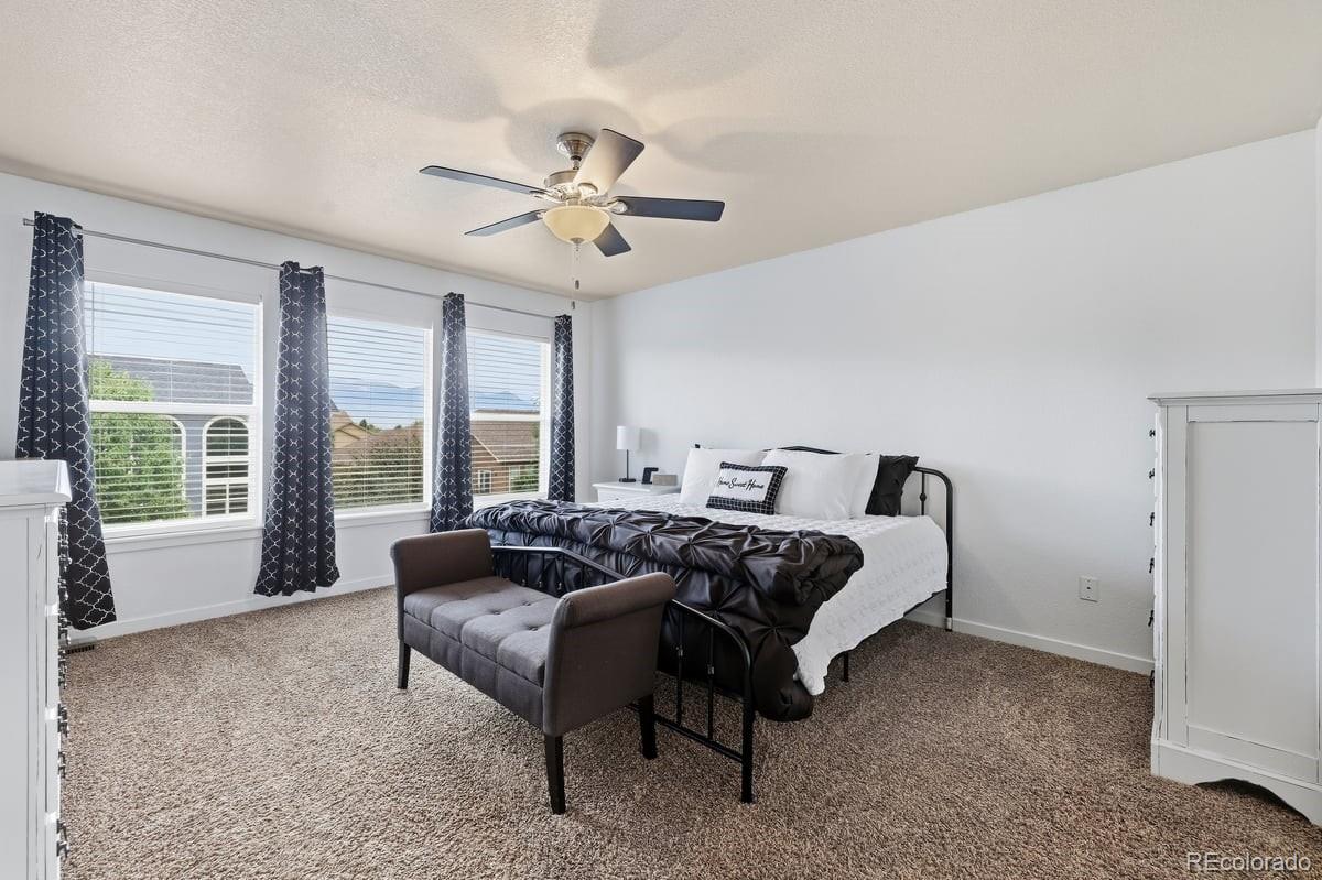 MLS Image #17 for 3502  red baron drive,colorado springs, Colorado
