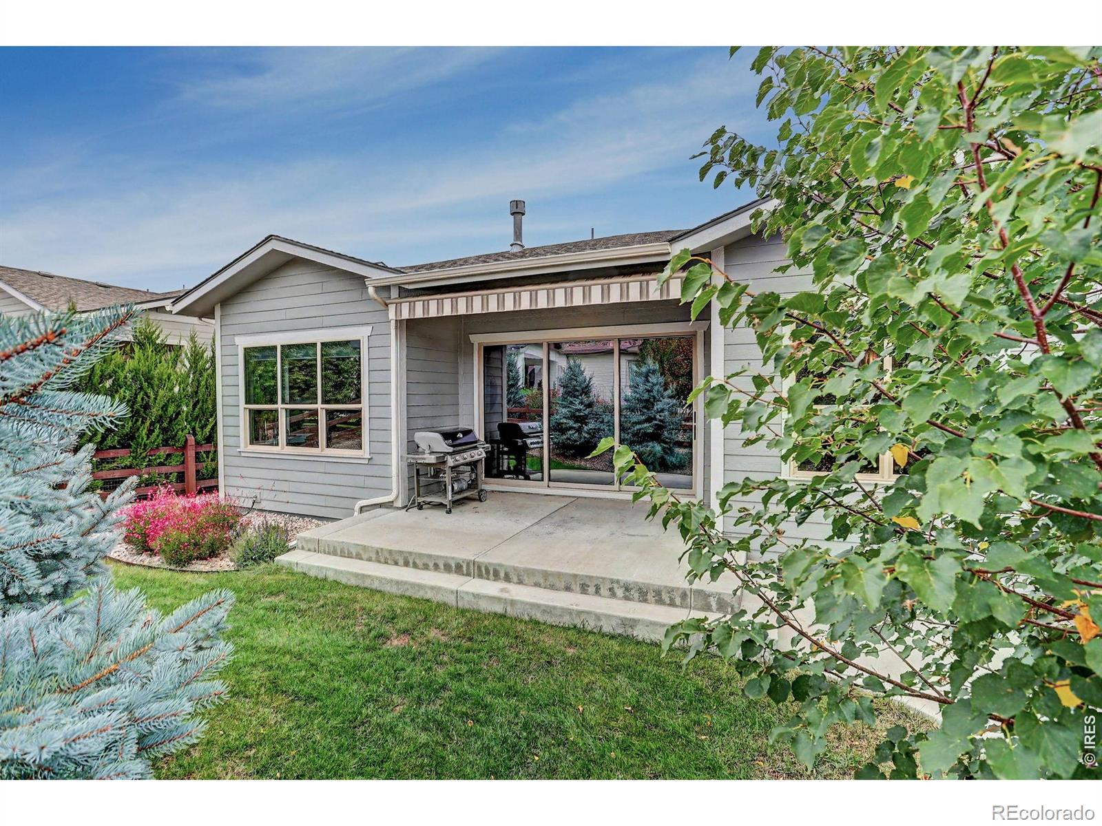 MLS Image #41 for 5933  sapling street,fort collins, Colorado