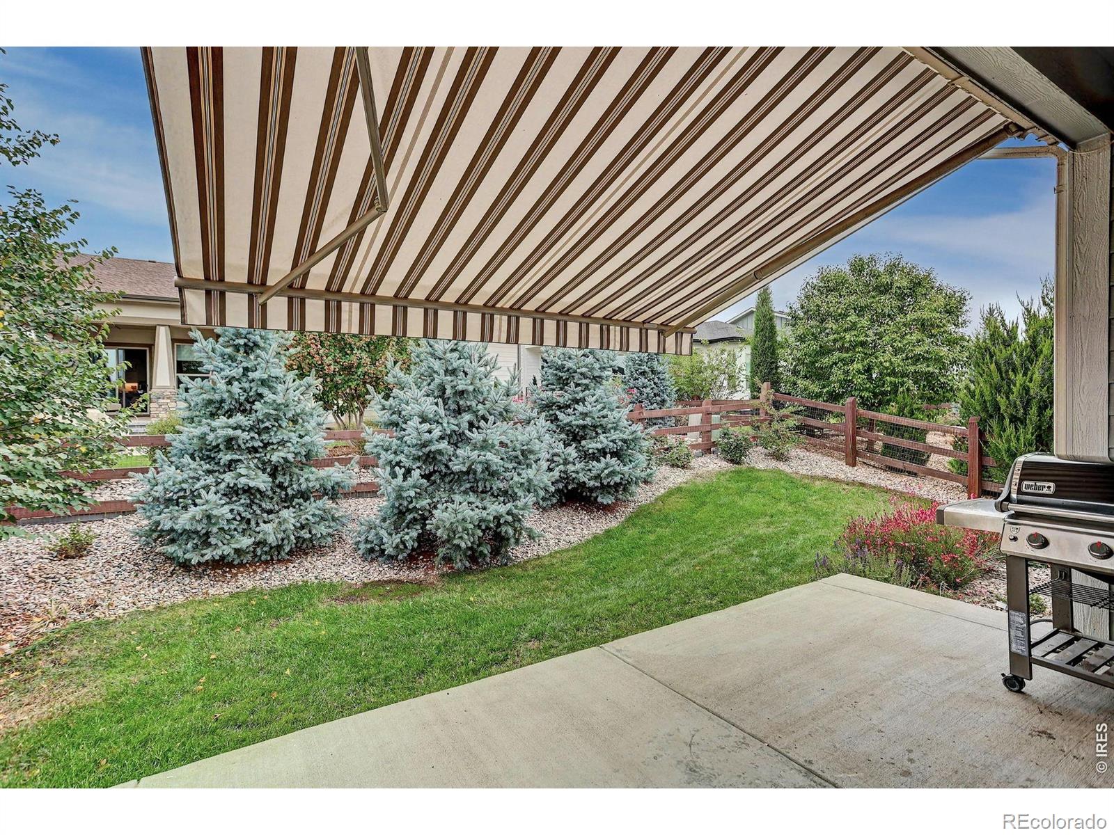 MLS Image #46 for 5933  sapling street,fort collins, Colorado