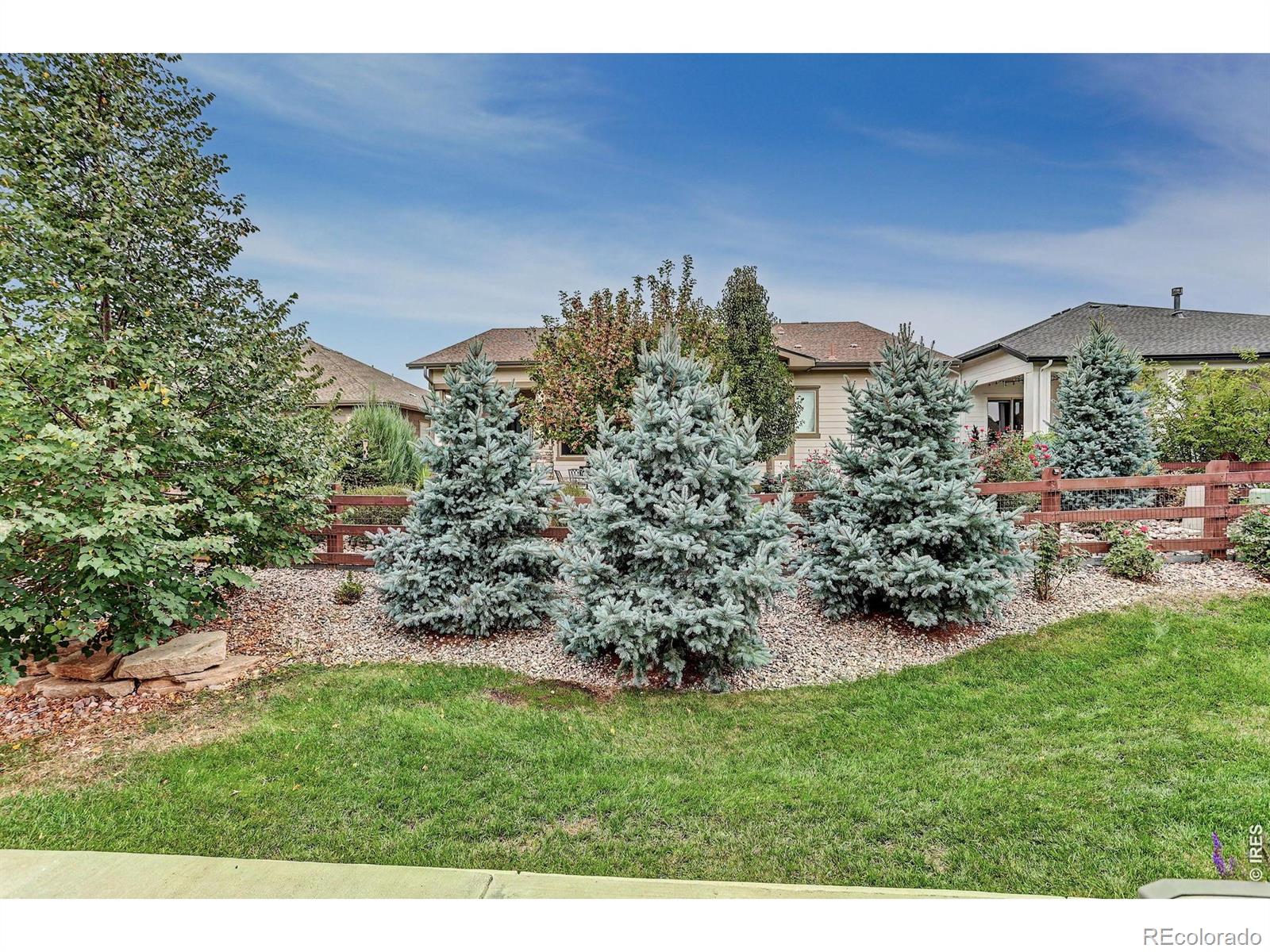 MLS Image #48 for 5933  sapling street,fort collins, Colorado