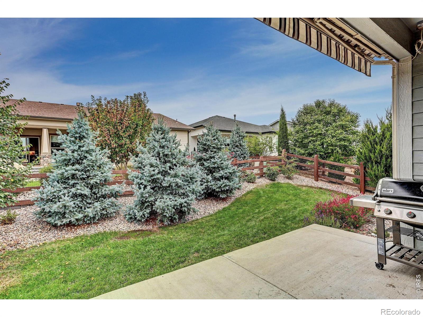 MLS Image #49 for 5933  sapling street,fort collins, Colorado