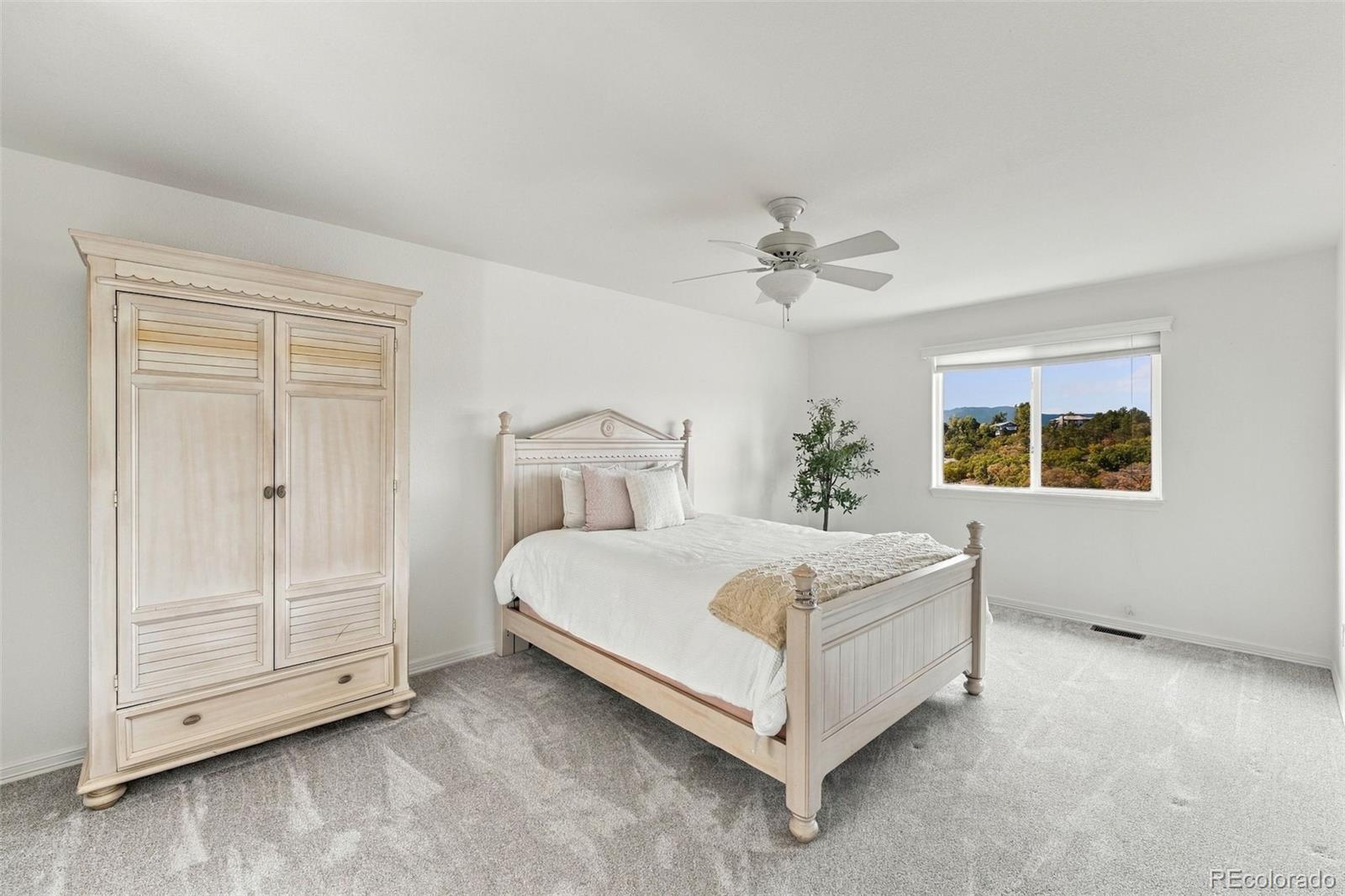 MLS Image #19 for 654  coyote willow drive,colorado springs, Colorado