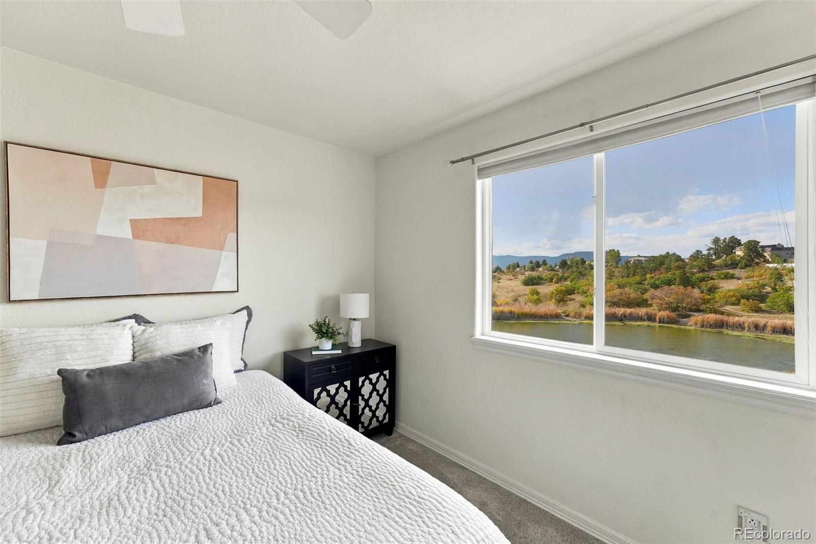 MLS Image #26 for 654  coyote willow drive,colorado springs, Colorado