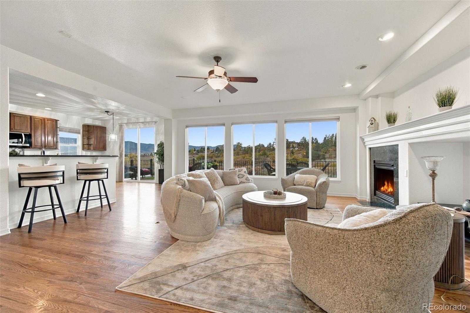 MLS Image #7 for 654  coyote willow drive,colorado springs, Colorado